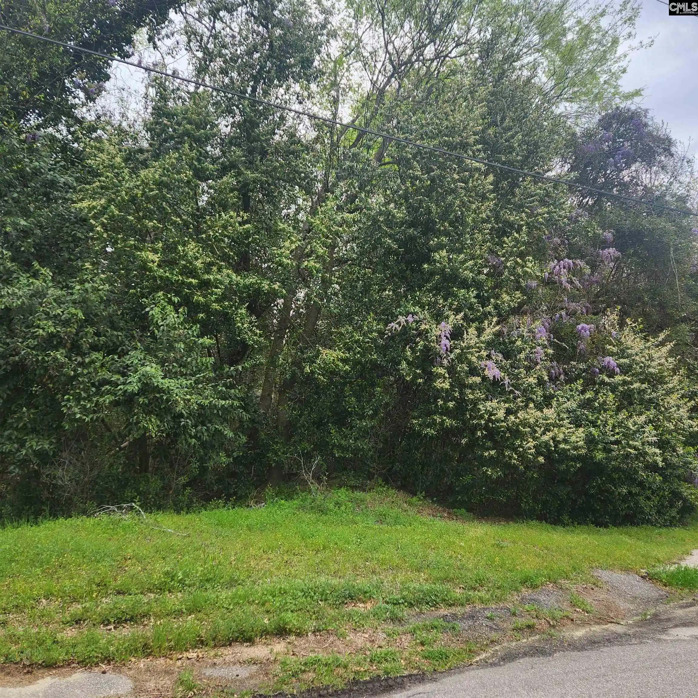 Photo 3 of Land for sale at 6430 Norris, Columbia, SC 29209 | MLS# 638268 | Listing updated on 2026-07-09