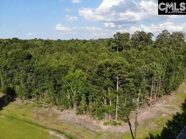 Homes for sale in Silverstreet, SC | 5583 Deadfall, Silverstreet, SC 29145 | MLS# 638322