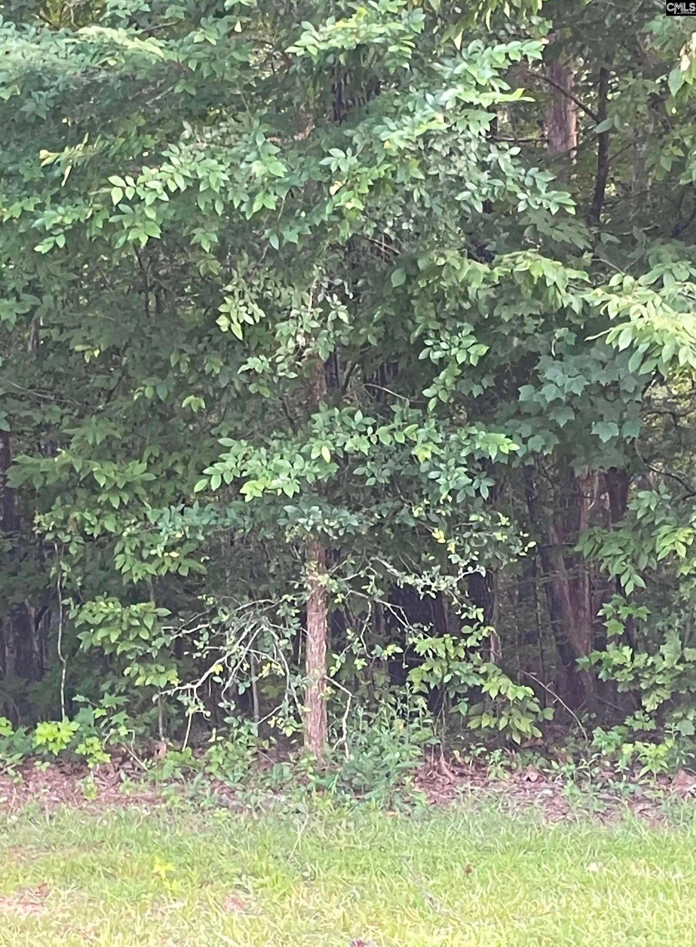 Photo 1 of Land for sale at 11 Otter Trail, Columbia, SC 29203 | MLS# 638341 | Listing updated on 2026-08-26