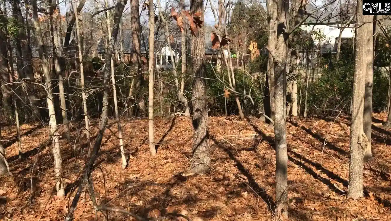 Photo 1 of Land for sale at 326 Carola, Lexington, SC 29072 | MLS# 638377 | Listing updated on 2026-07-29