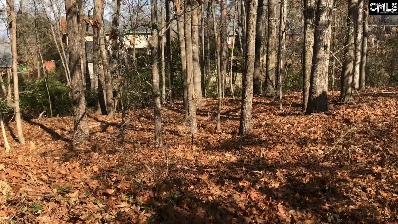 Photo 2 of Land for sale at 326 Carola, Lexington, SC 29072 | MLS# 638377 | Listing updated on 2026-07-29