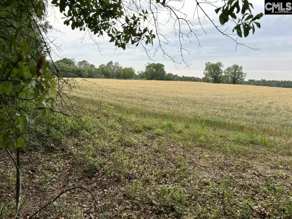 Photo 3 of Land for sale at Bodie, Pelion, SC 29123 | MLS# 638404 | Listing updated on 2026-07-10