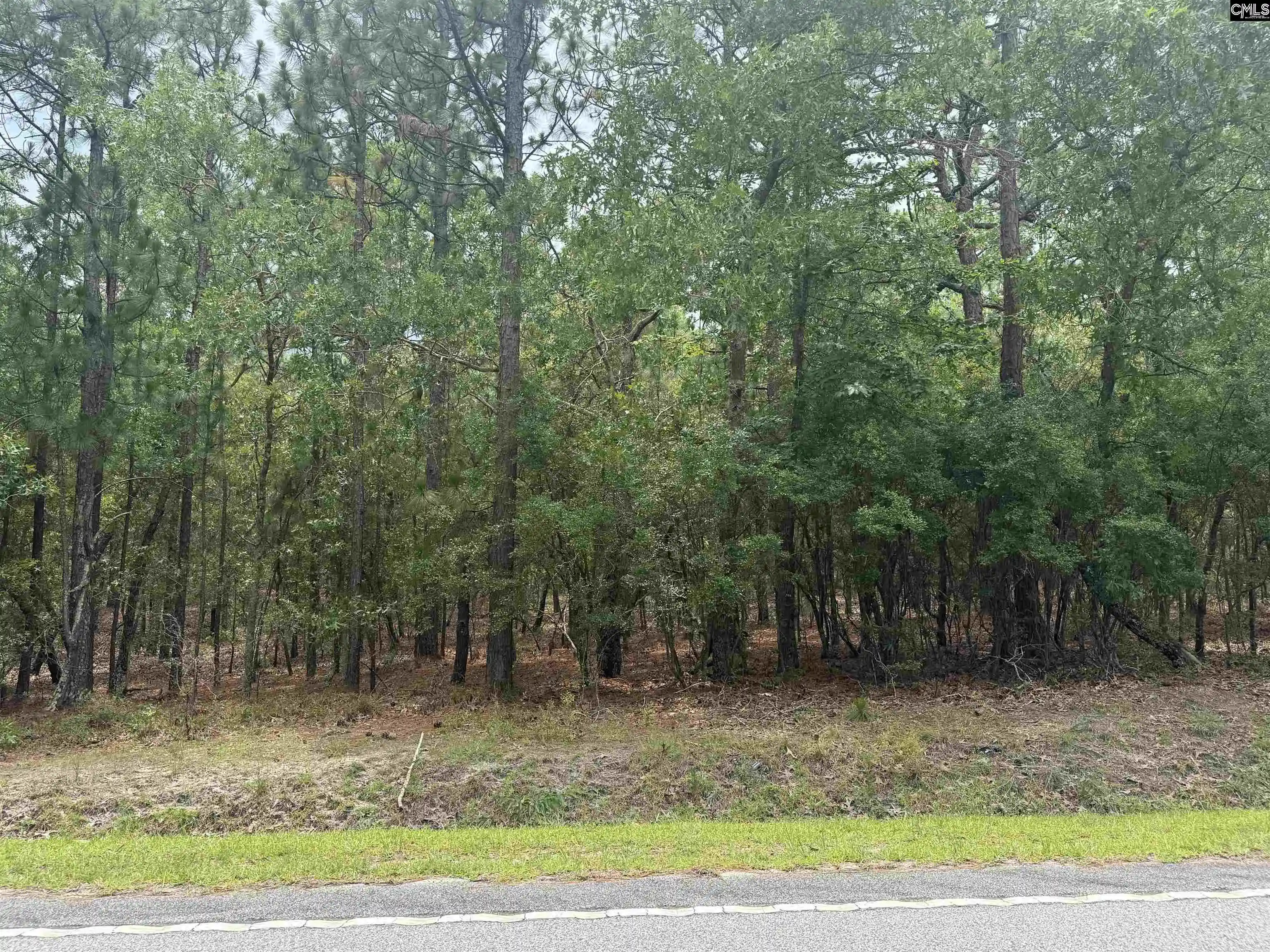 Photo 3 of Land for sale at 1139 Brewer Springs, Camden, SC 29020 | MLS# 638527 | Listing updated on 2026-07-13