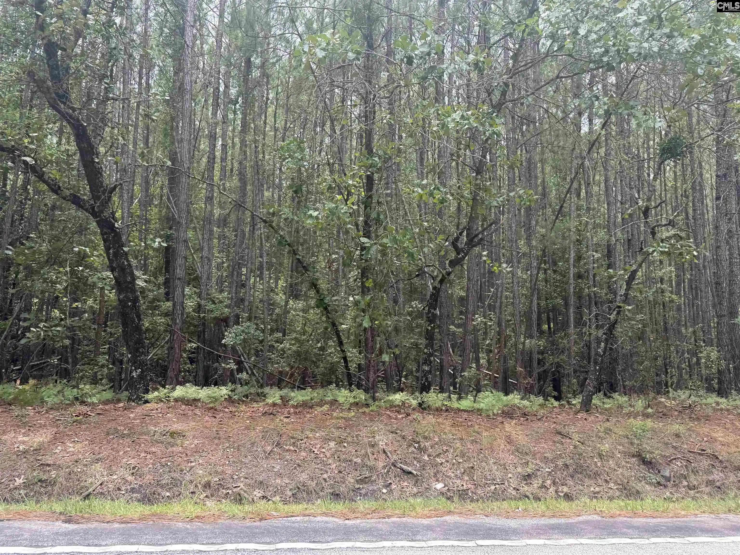 Photo 4 of Land for sale at 1139 Brewer Springs, Camden, SC 29020 | MLS# 638527 | Listing updated on 2026-07-13