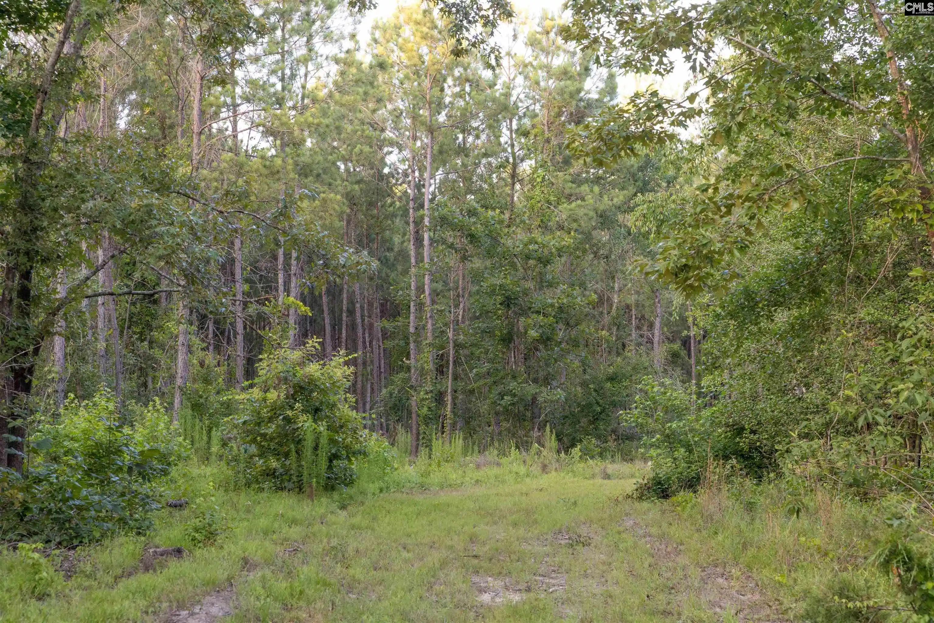 Homes for sale in Ehrhardt, SC | Tbd Rizer Cemetary, Ehrhardt, SC 29081 | MLS# 638543