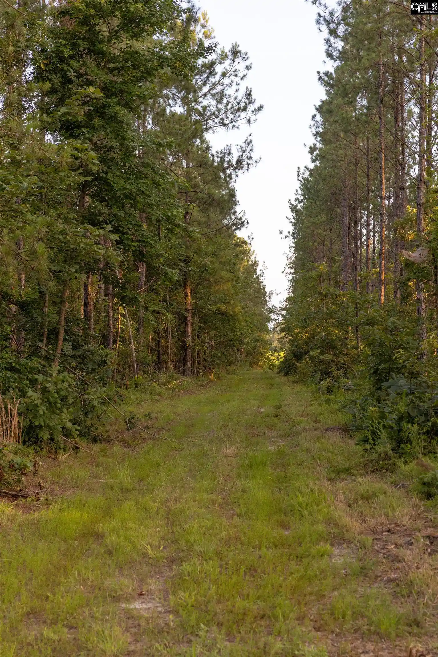 Homes for sale in Ehrhardt, SC | Tbd Rizer Cemetary, Ehrhardt, SC 29081 | MLS# 638543