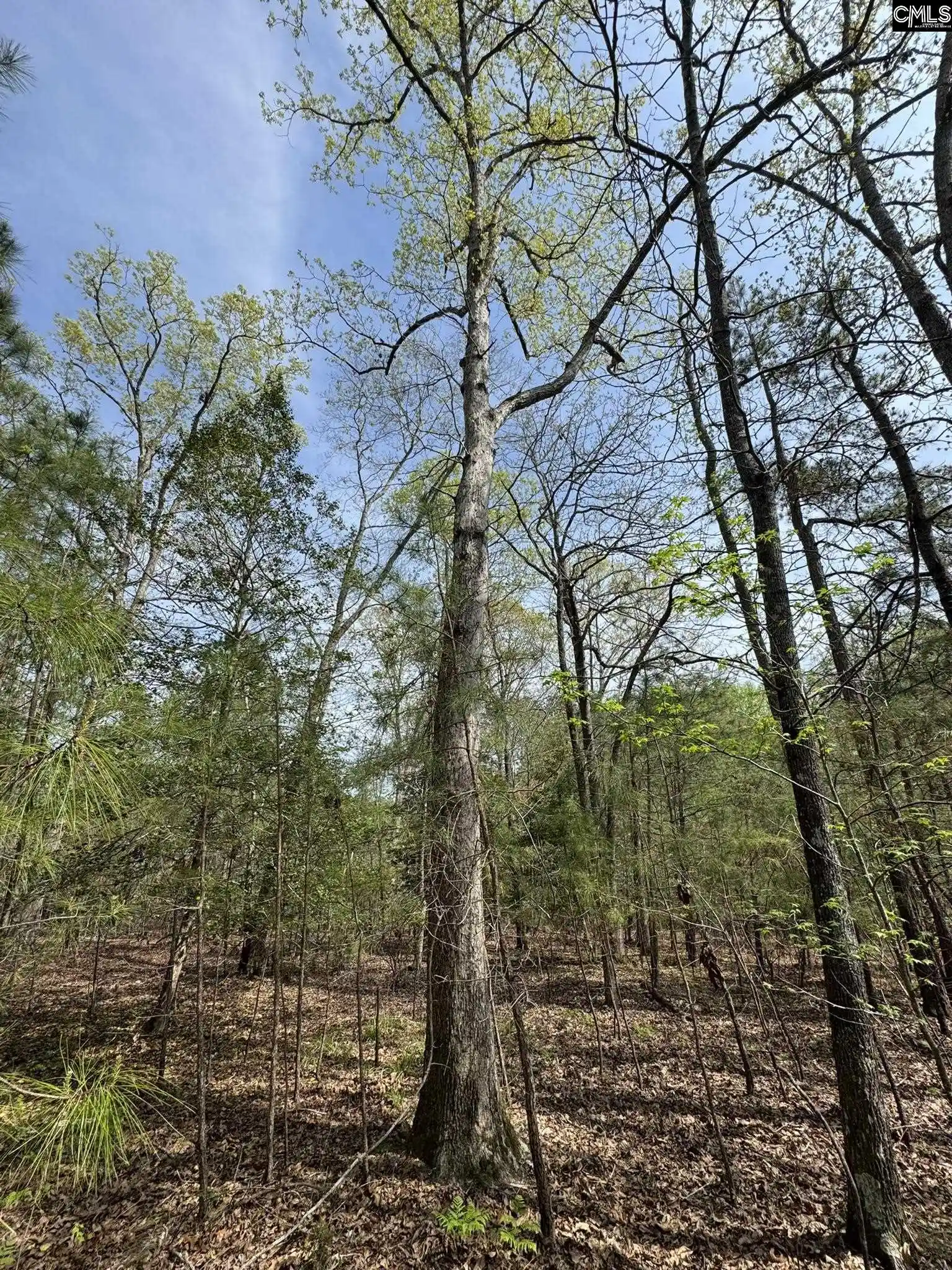 Photo 4 of Sale Pending at 359 Holly Point, Prosperity, SC 29127 | MLS# 638666 | Listing updated on 2026-07-31