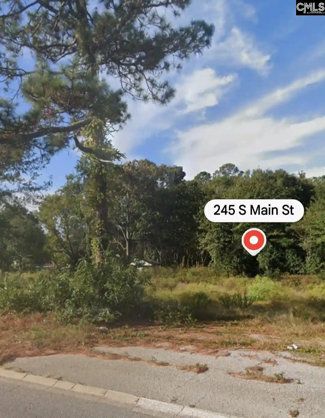 Homes for sale in Gaston, SC | 245 South Main, Gaston, SC 29053 | MLS# 638686