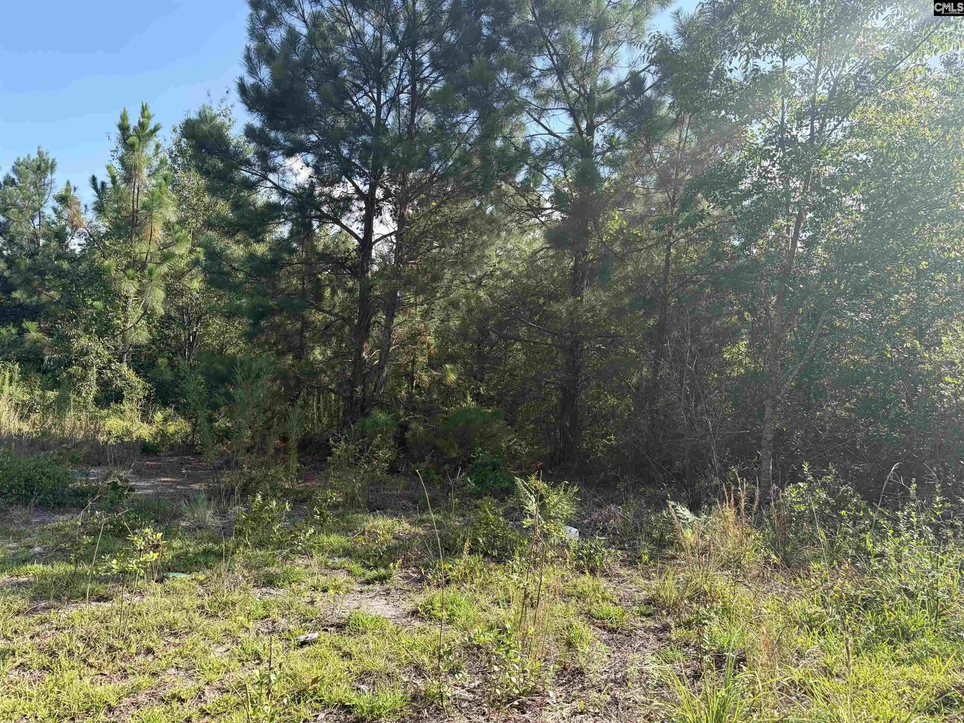 Photo 2 of Land for sale at 0 Valley Stream, Leesville, SC 29070 | MLS# 638715 | Listing updated on 2026-08-20