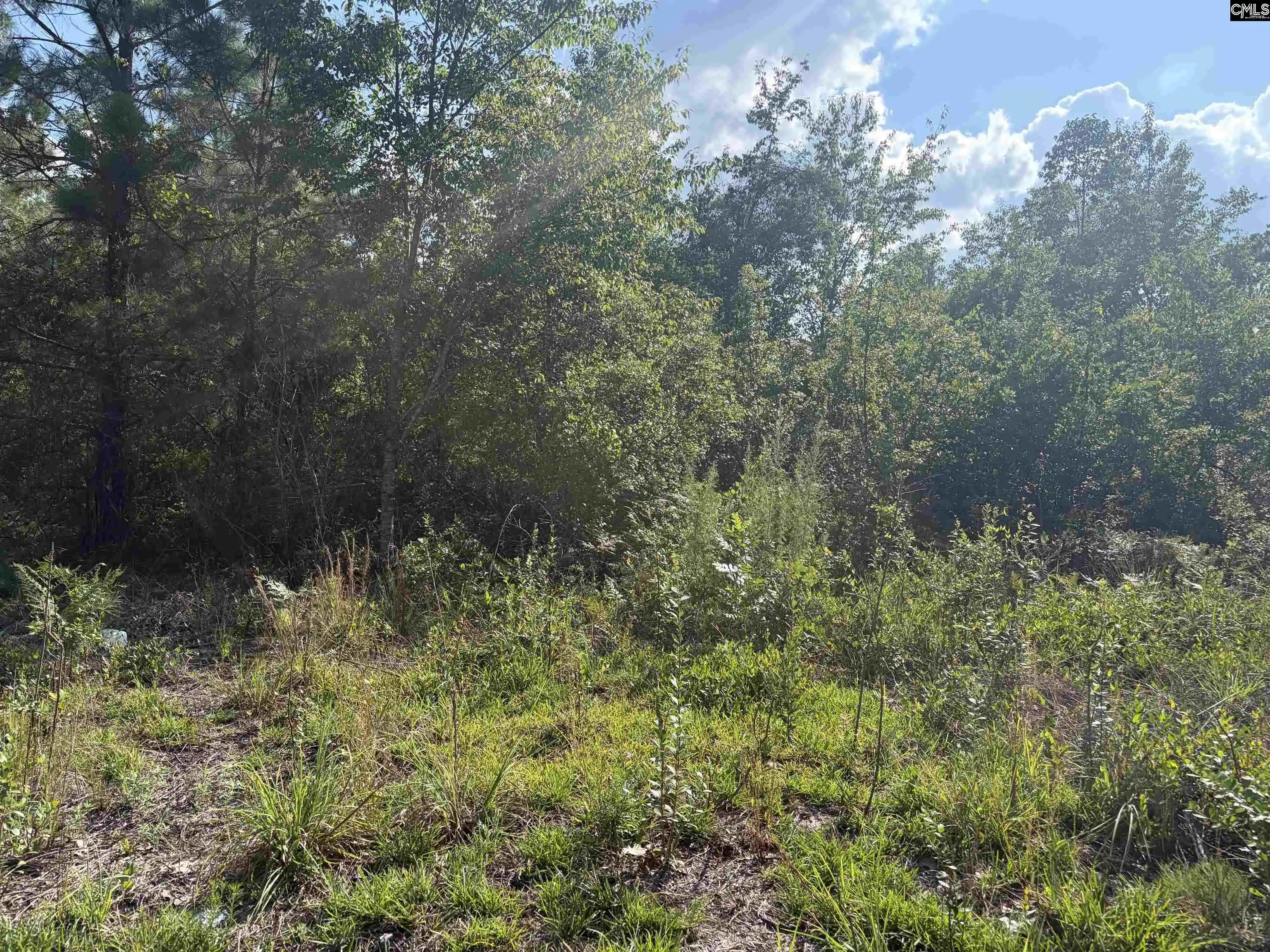 Photo 3 of Land for sale at 0 Valley Stream, Leesville, SC 29070 | MLS# 638715 | Listing updated on 2026-08-20