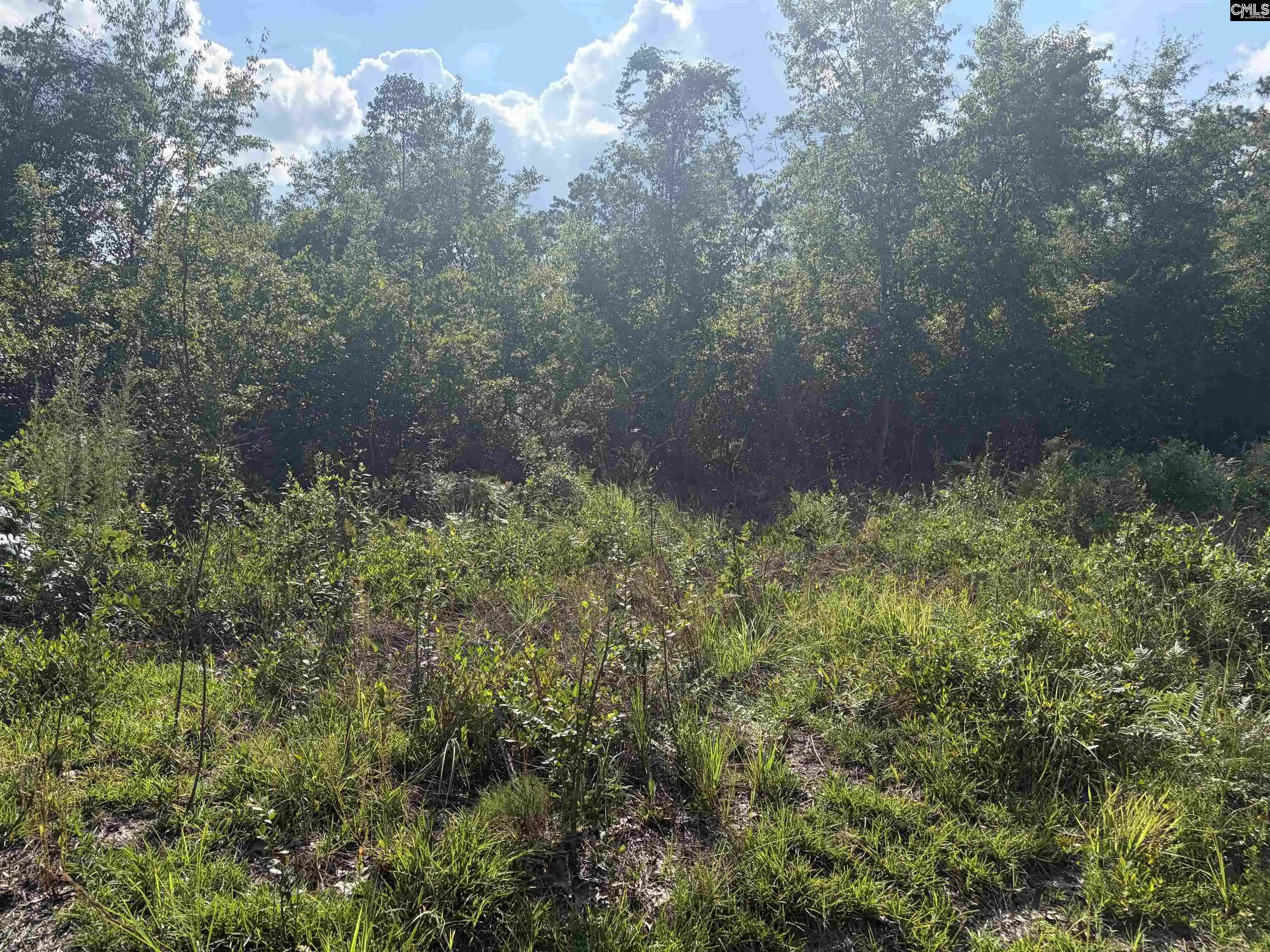 Photo 4 of Land for sale at 0 Valley Stream, Leesville, SC 29070 | MLS# 638715 | Listing updated on 2026-08-20