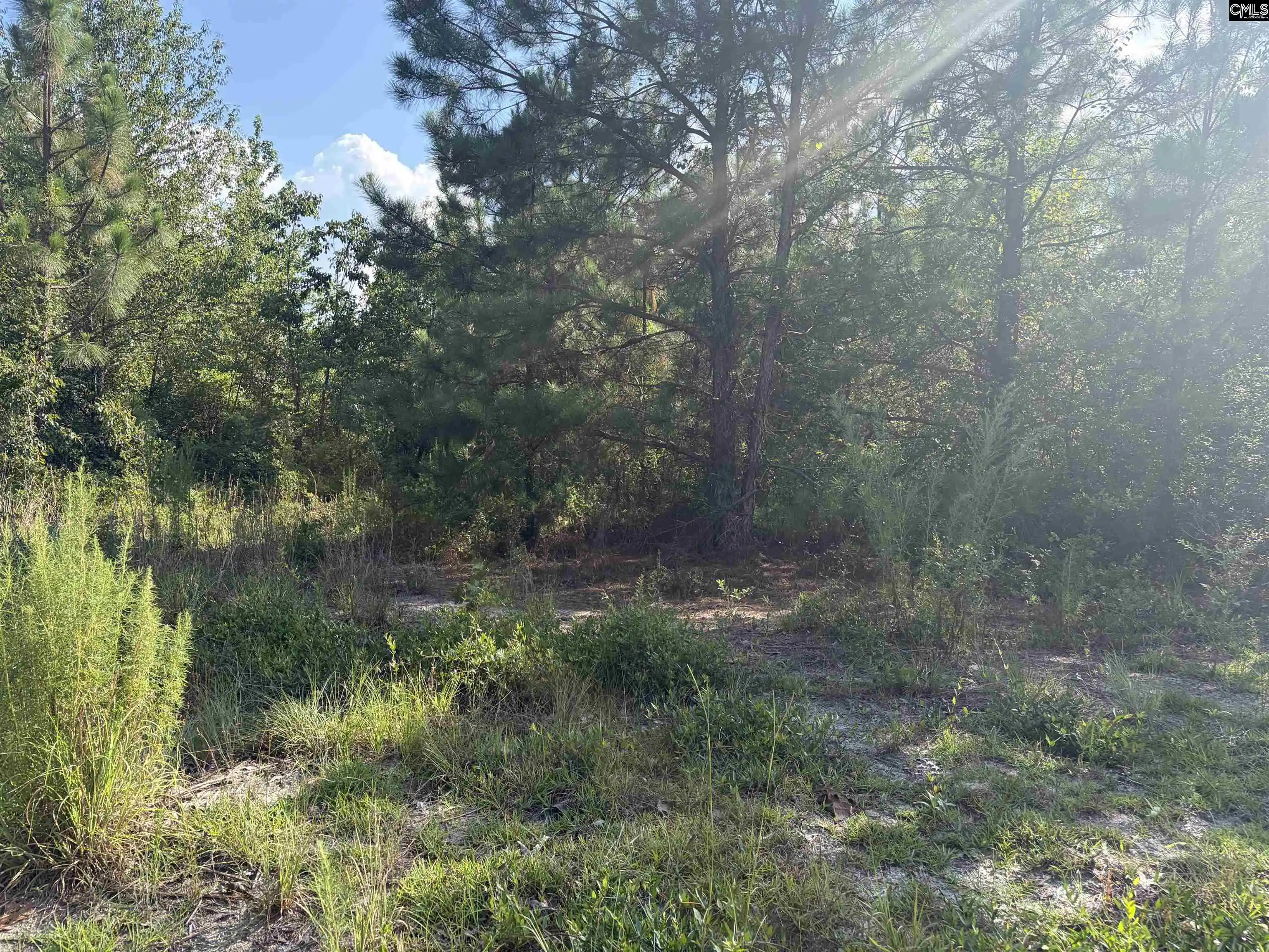 Photo 5 of Land for sale at 0 Valley Stream, Leesville, SC 29070 | MLS# 638715 | Listing updated on 2026-08-20