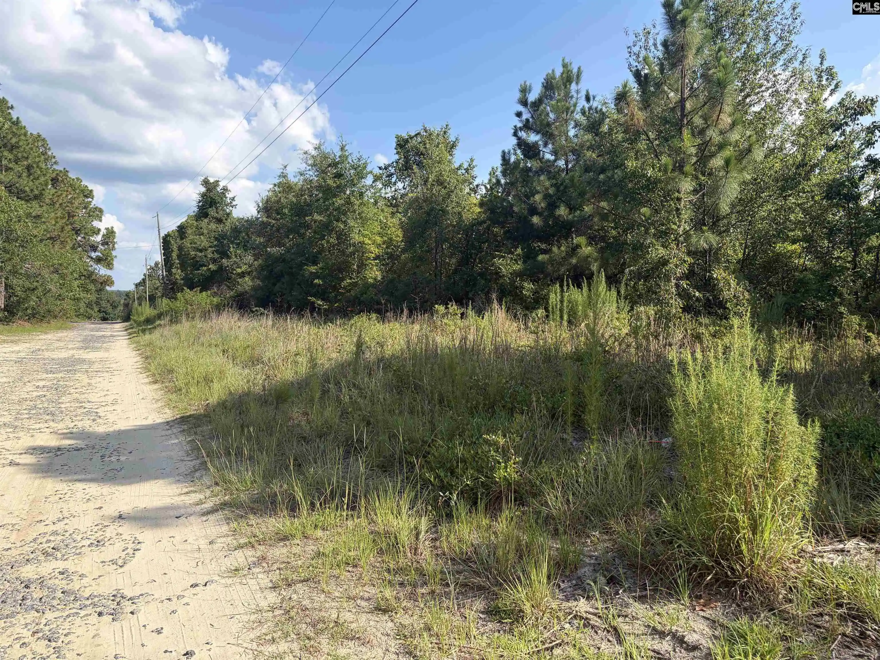 Photo 7 of Land for sale at 0 Valley Stream, Leesville, SC 29070 | MLS# 638715 | Listing updated on 2026-08-20