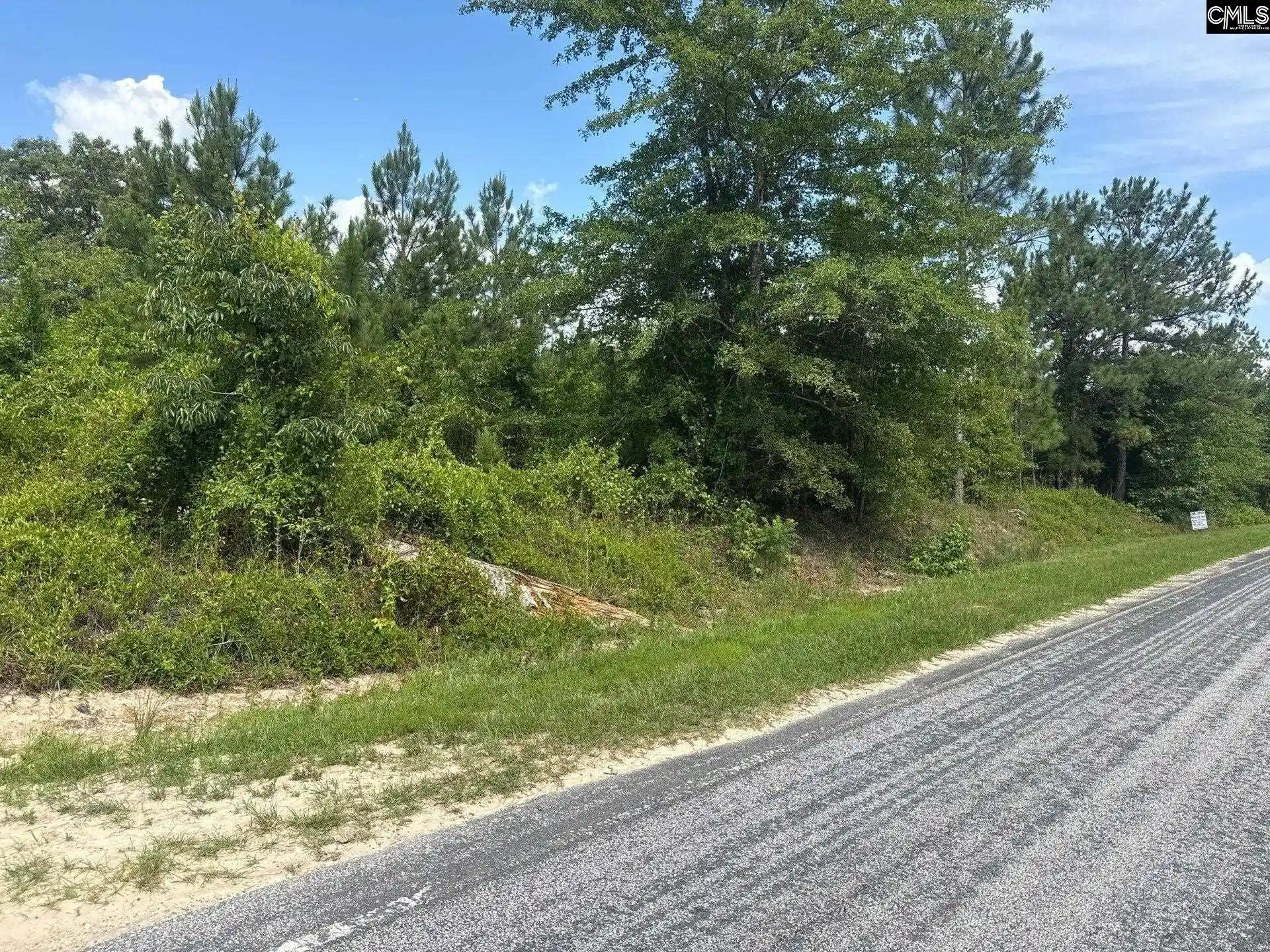Homes for sale in Jefferson, SC | Mpf 1 State Rd S-28-31, Jefferson, SC 29718 | MLS# 638723