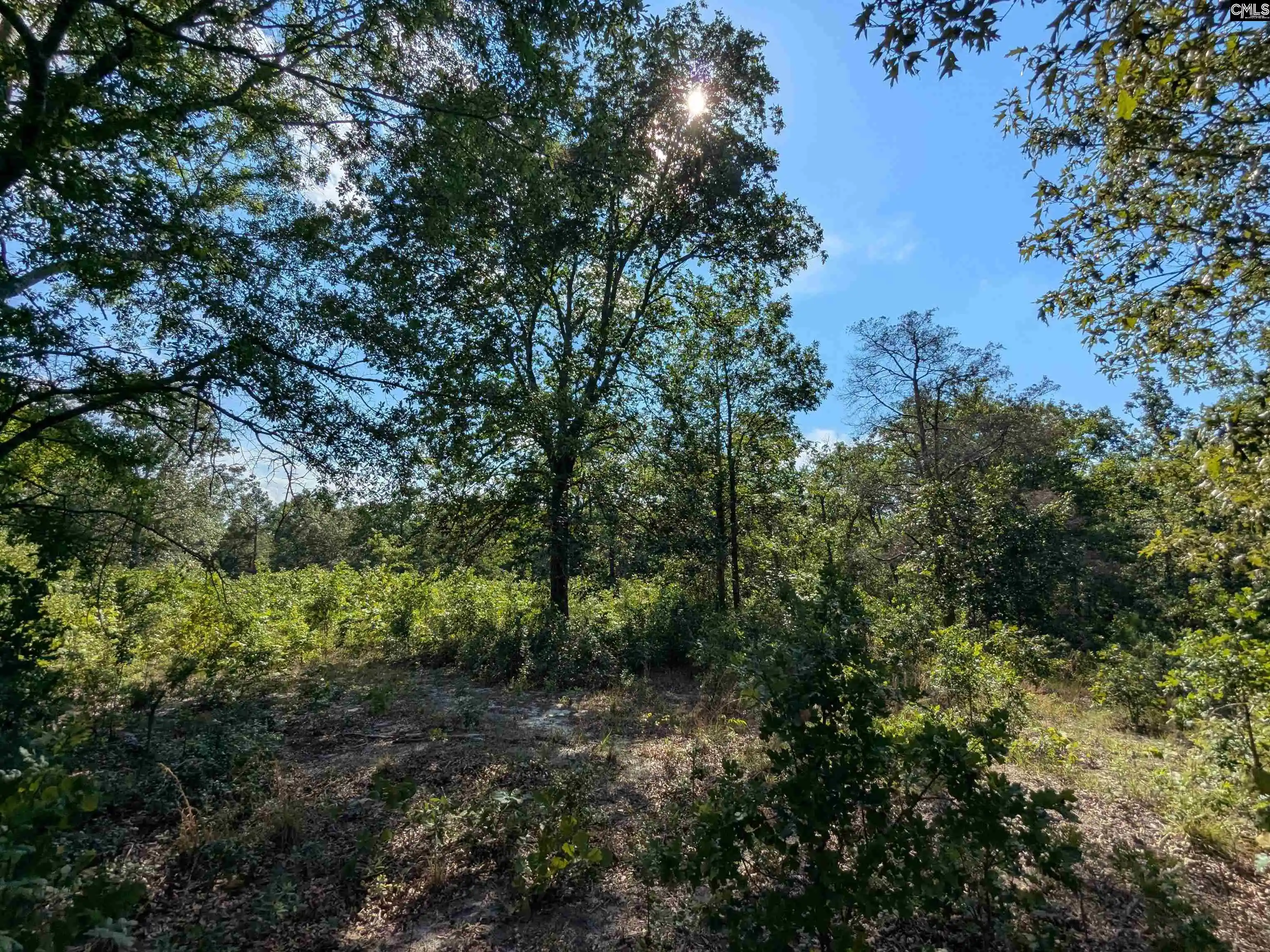 Photo 1 of Sale Pending at Hound Hollow, Camden, SC 29020 | MLS# 638770 | Listing updated on 2026-09-01
