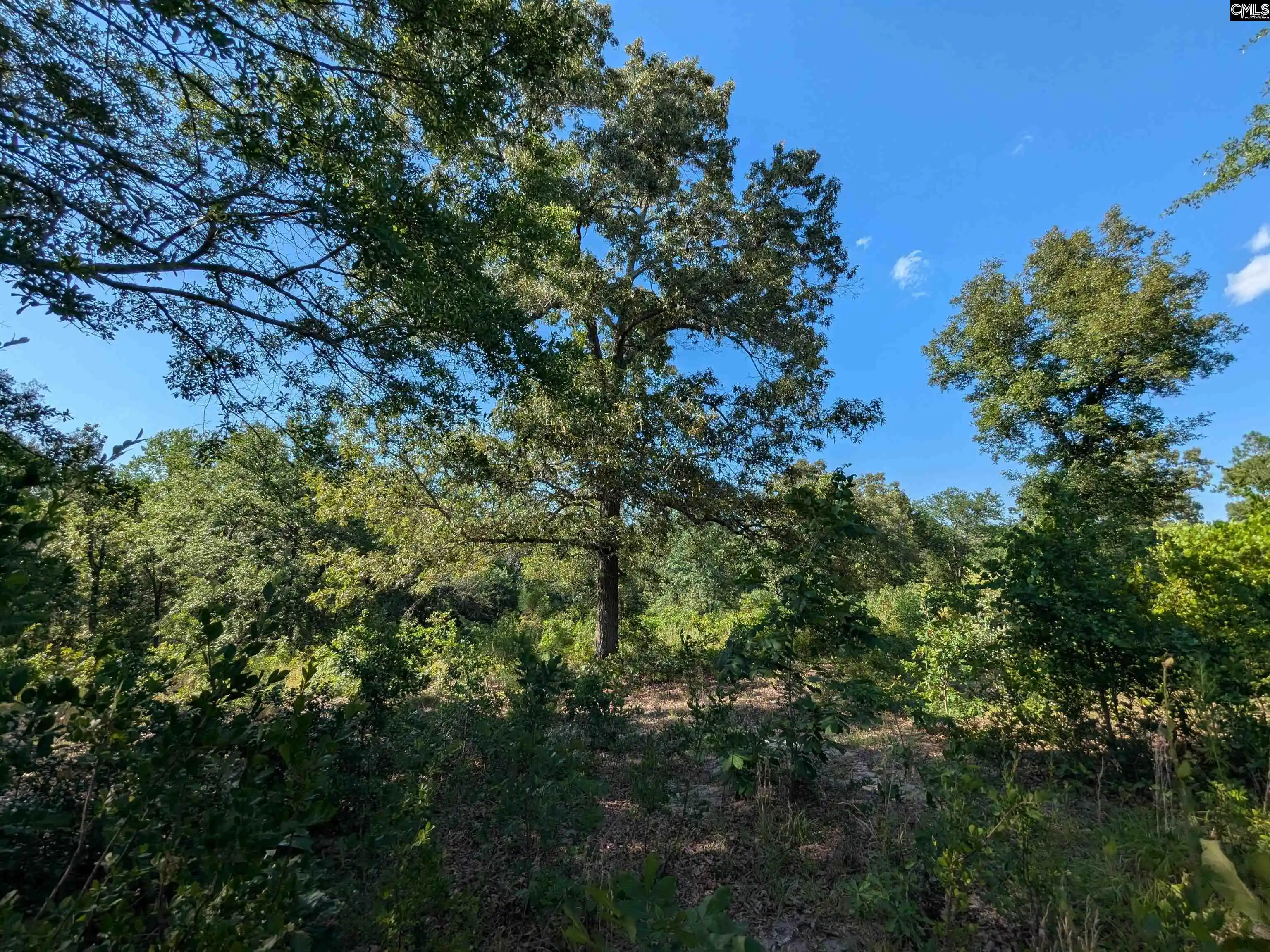 Photo 2 of Sale Pending at Hound Hollow, Camden, SC 29020 | MLS# 638770 | Listing updated on 2026-09-01