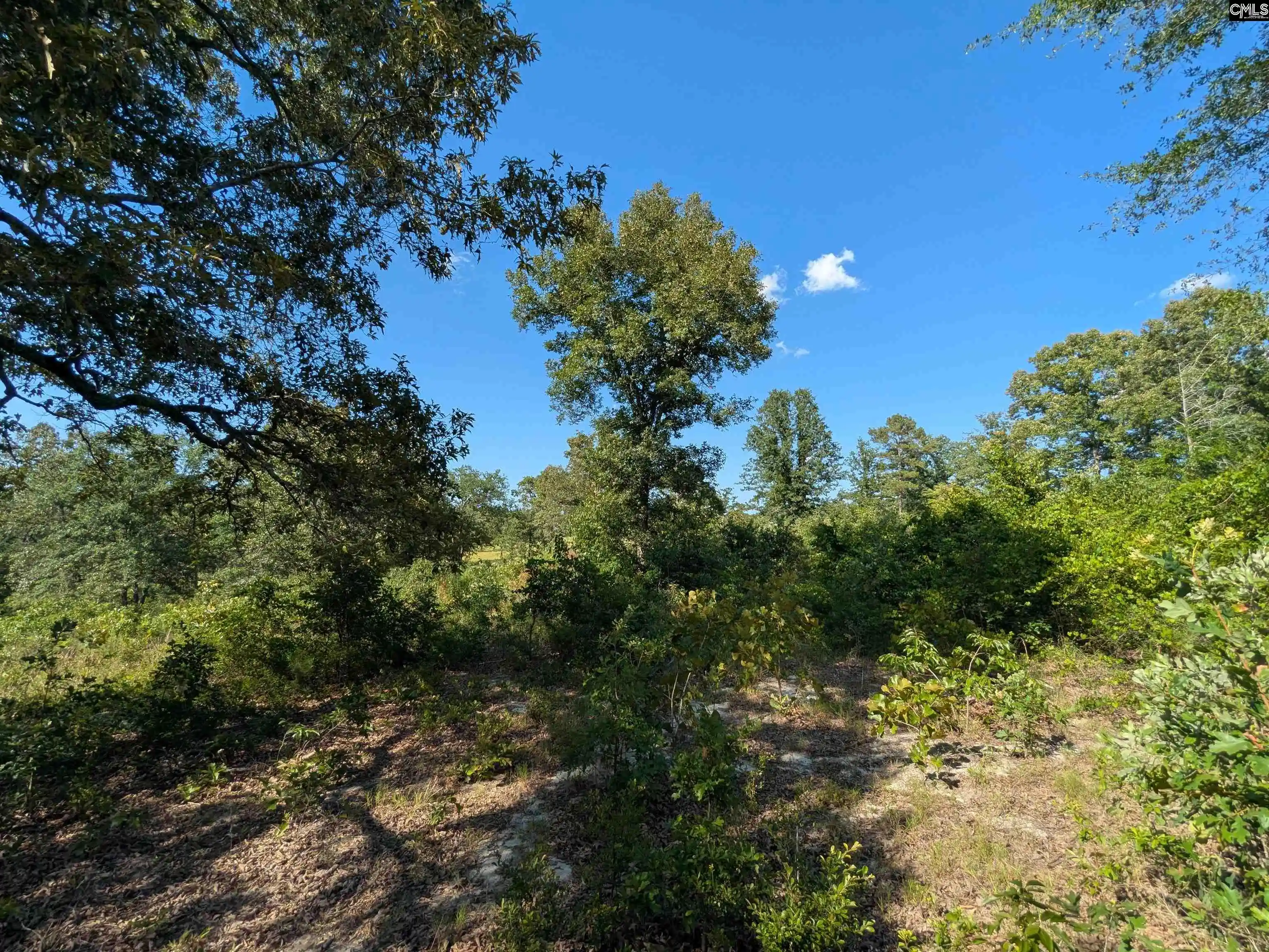 Photo 3 of Sale Pending at Hound Hollow, Camden, SC 29020 | MLS# 638770 | Listing updated on 2026-09-01