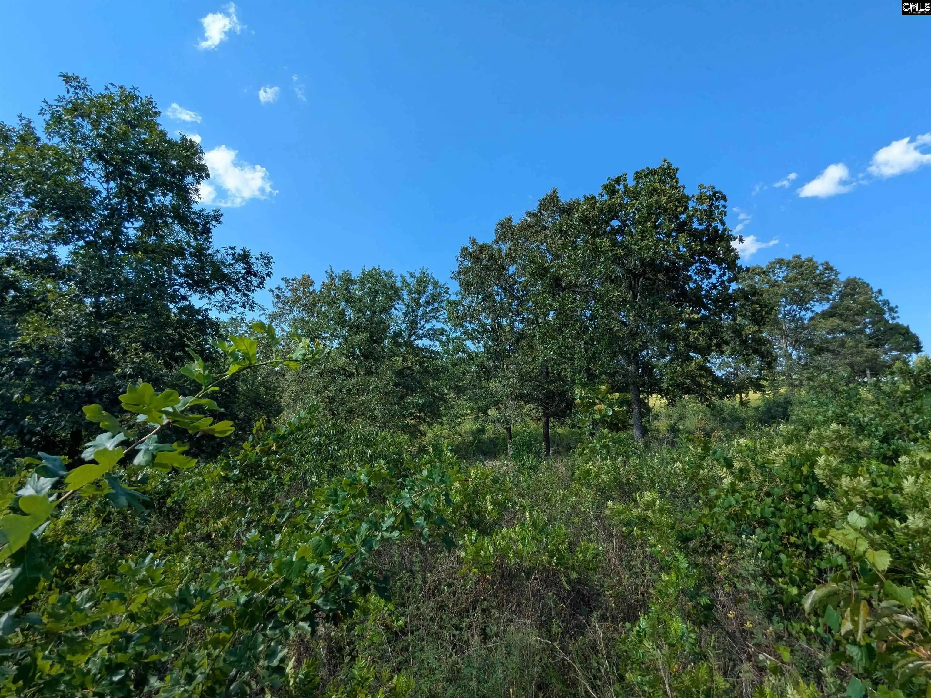 Photo 3 of Sale Pending at Hound Hollow, Camden, SC 29020 | MLS# 638770 | Listing updated on 2026-09-01