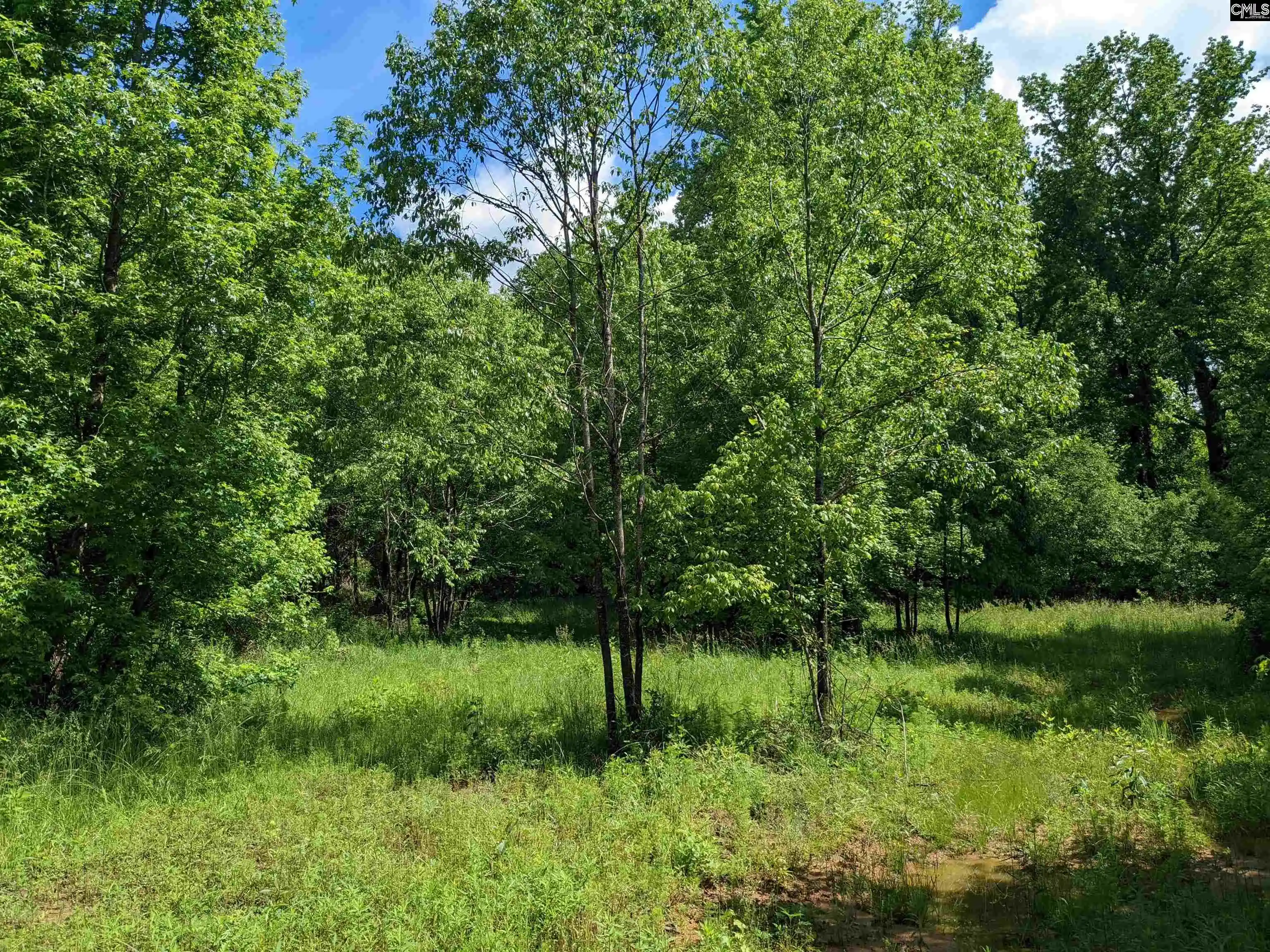 1st image of Lockhart, Union, SC 29379 | MLS# 638831