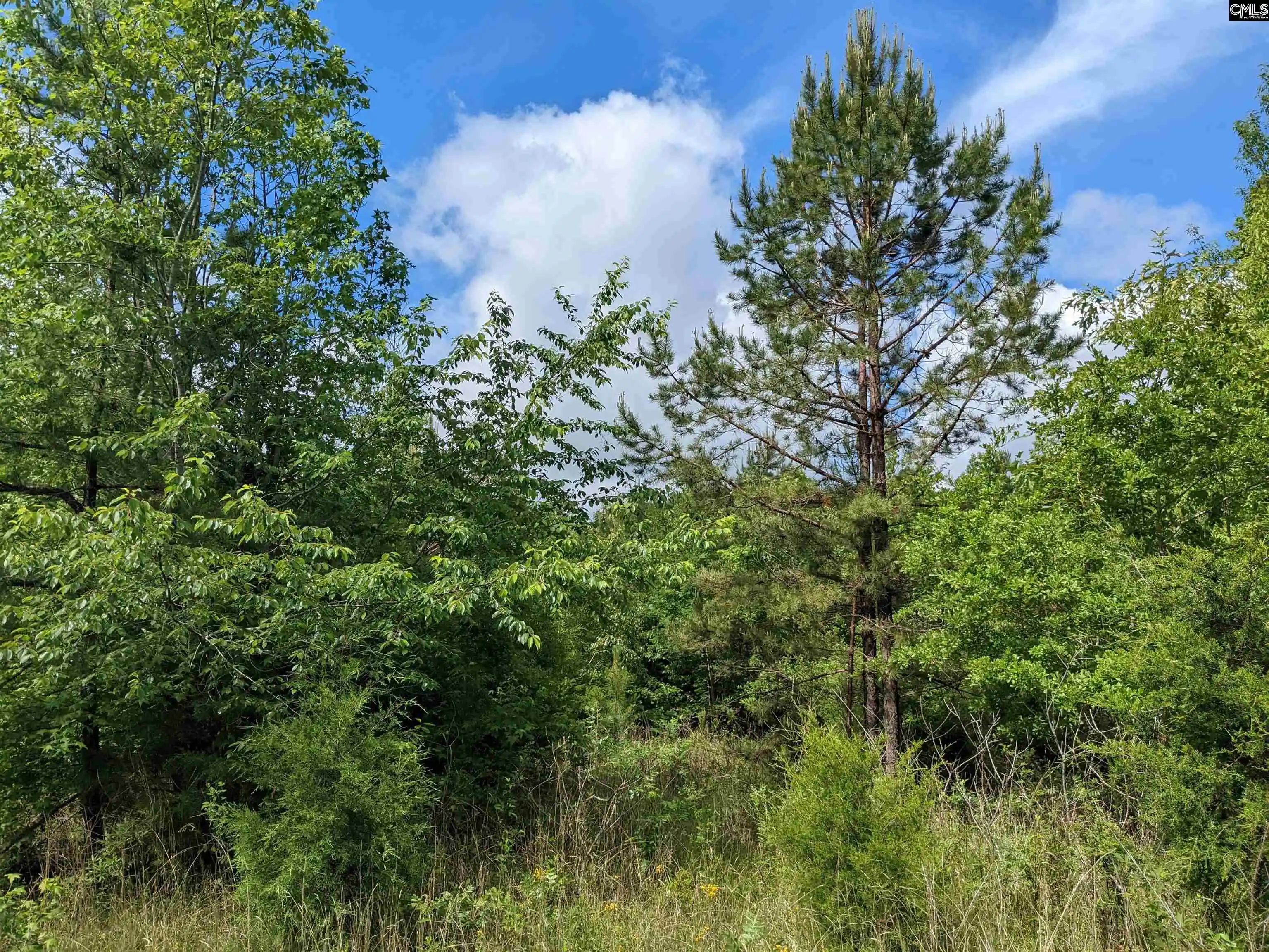 Photo 3 of Land for sale at Lockhart, Union, SC 29379 | MLS# 638831 | Listing updated on 2026-09-10