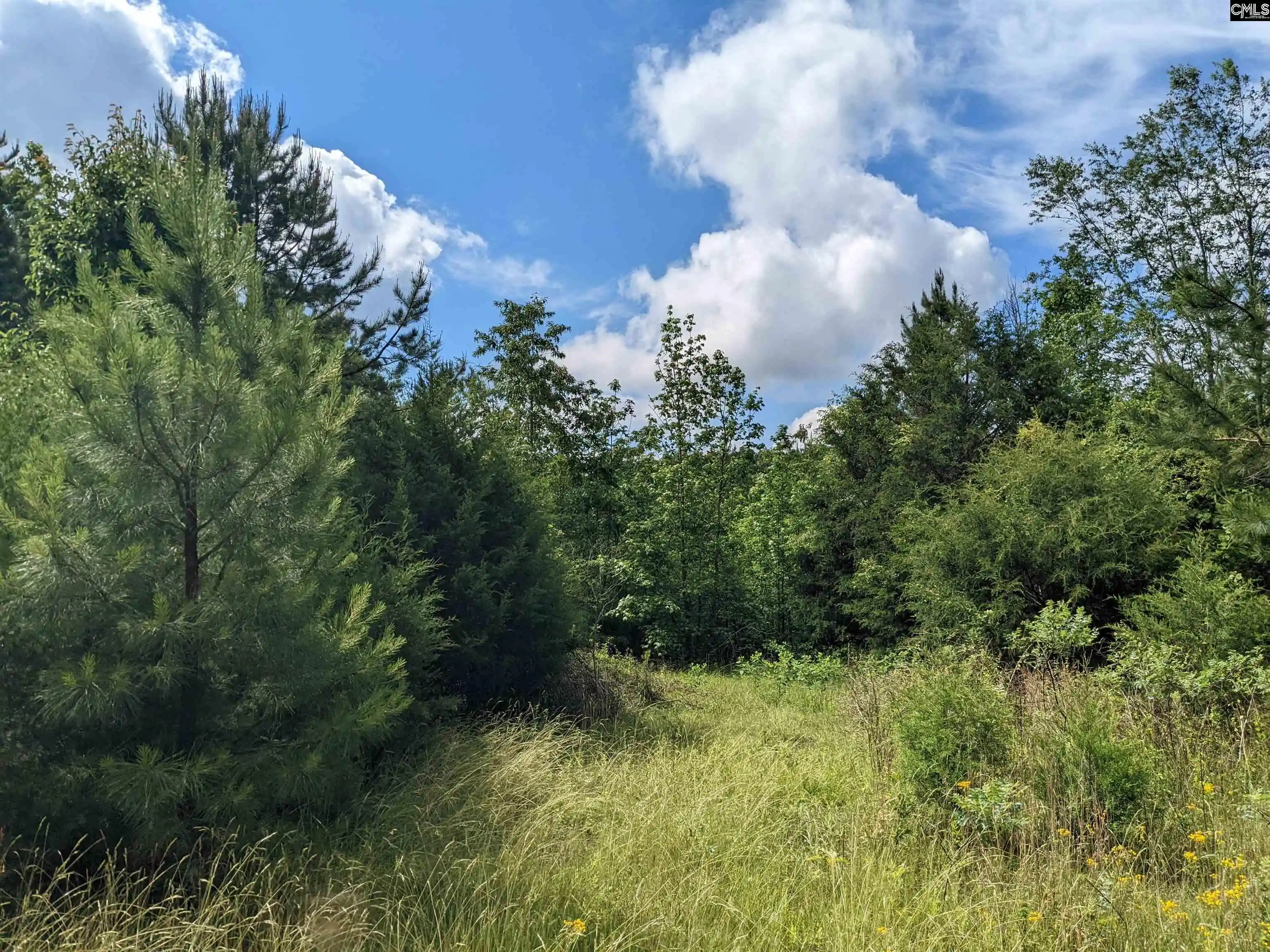 Photo 3 of Land for sale at Lockhart, Union, SC 29379 | MLS# 638831 | Listing updated on 2026-09-10