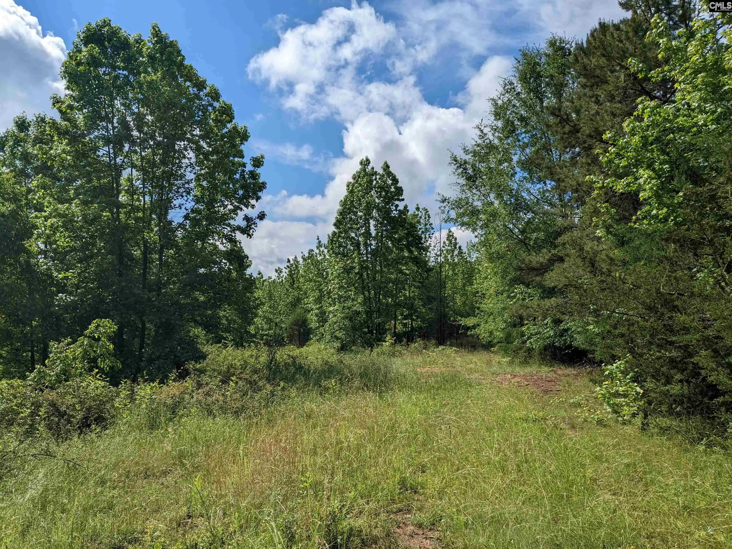 Photo 4 of Land for sale at Lockhart, Union, SC 29379 | MLS# 638831 | Listing updated on 2026-09-10