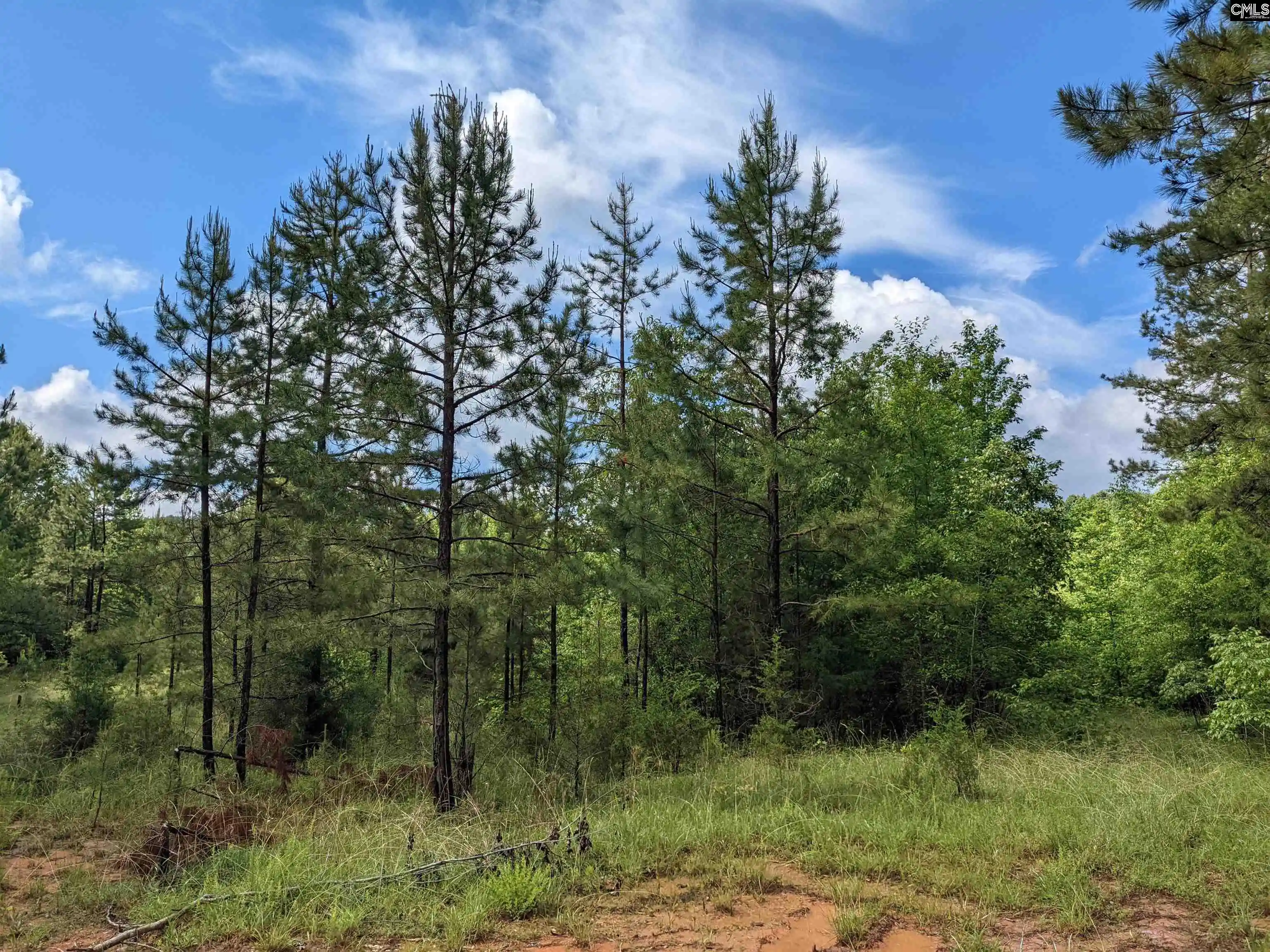 27th image of Lockhart, Union, SC 29379 | MLS# 638831