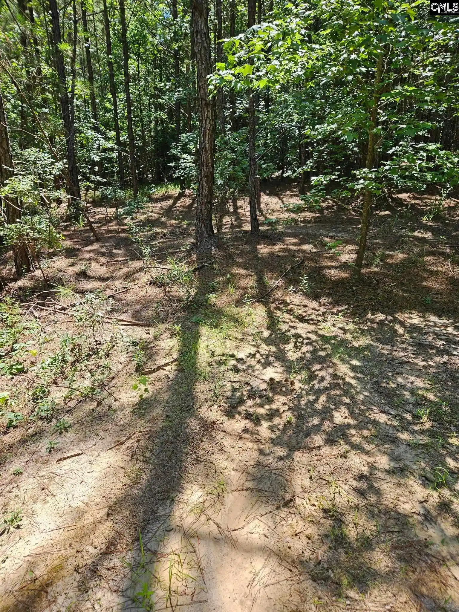 Homes for sale in Winnsboro, SC | 00 Cypress #0, Winnsboro, SC 29180 | MLS# 638853