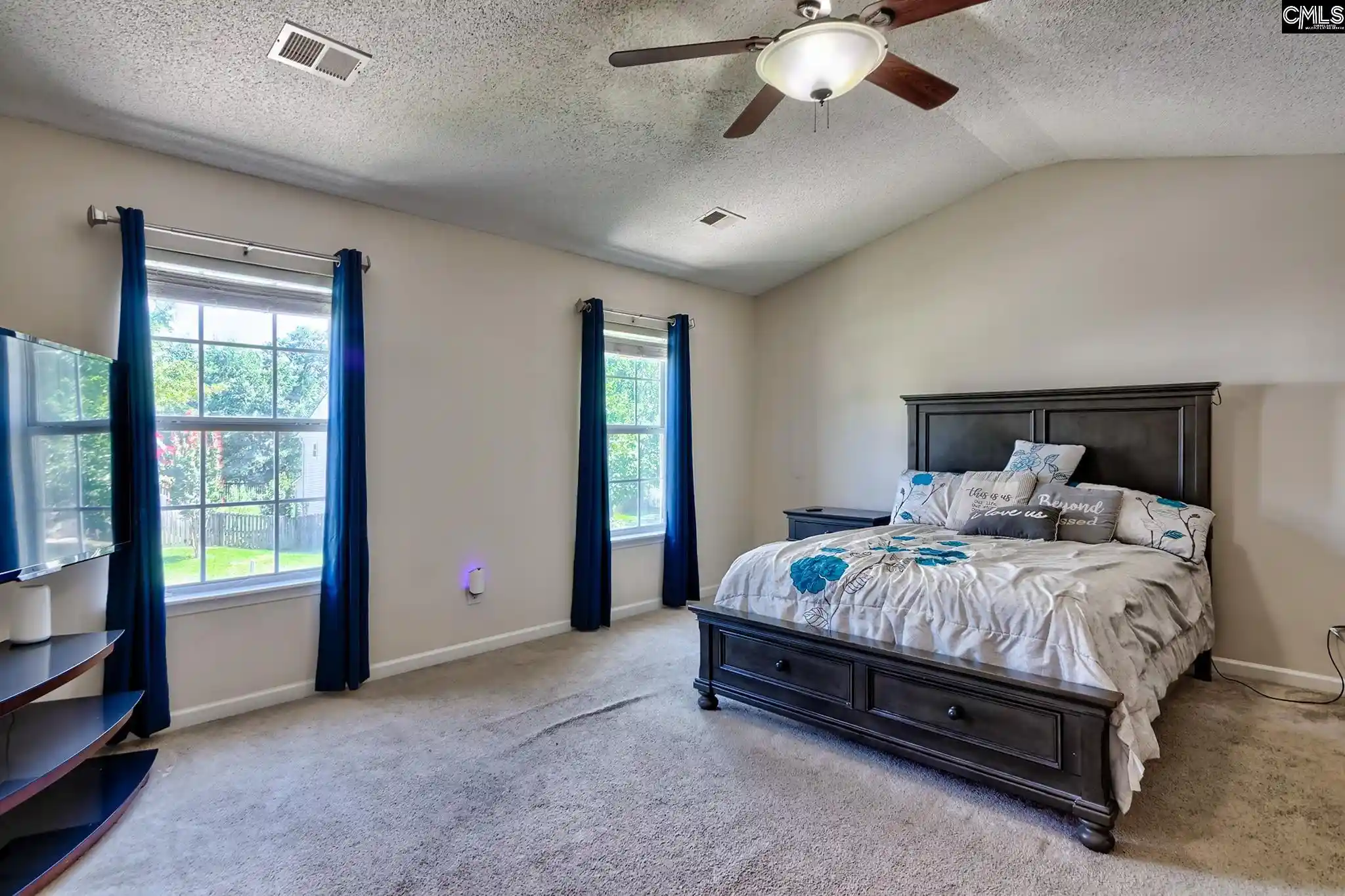 Photo 3 of Single family home for sale at 113 Wingspan, Chapin, SC 29036 | MLS# 638894 | Listing updated on 2026-10-01