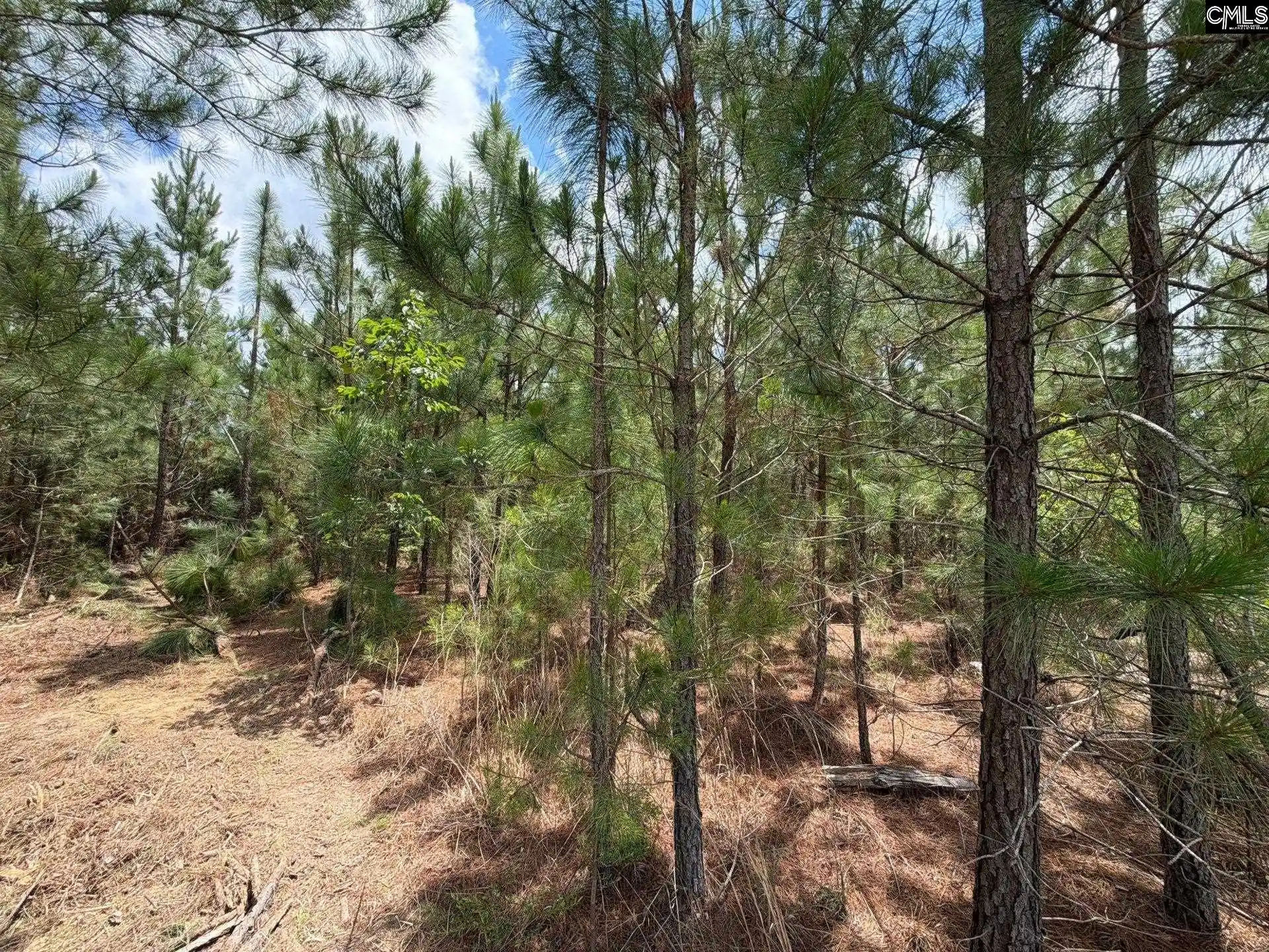 Homes for sale in Jefferson, SC | Mpf 5 State Rd S-28-31, Jefferson, SC 29718 | MLS# 639112
