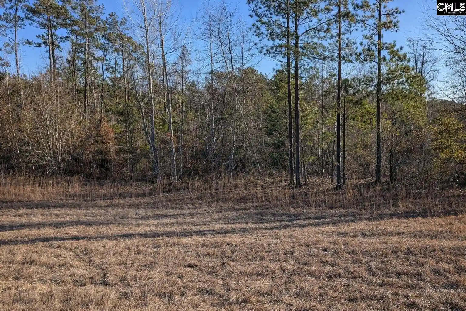 2nd image of 7884 Winnsboro, Columbia, SC 29203 | MLS# 639122