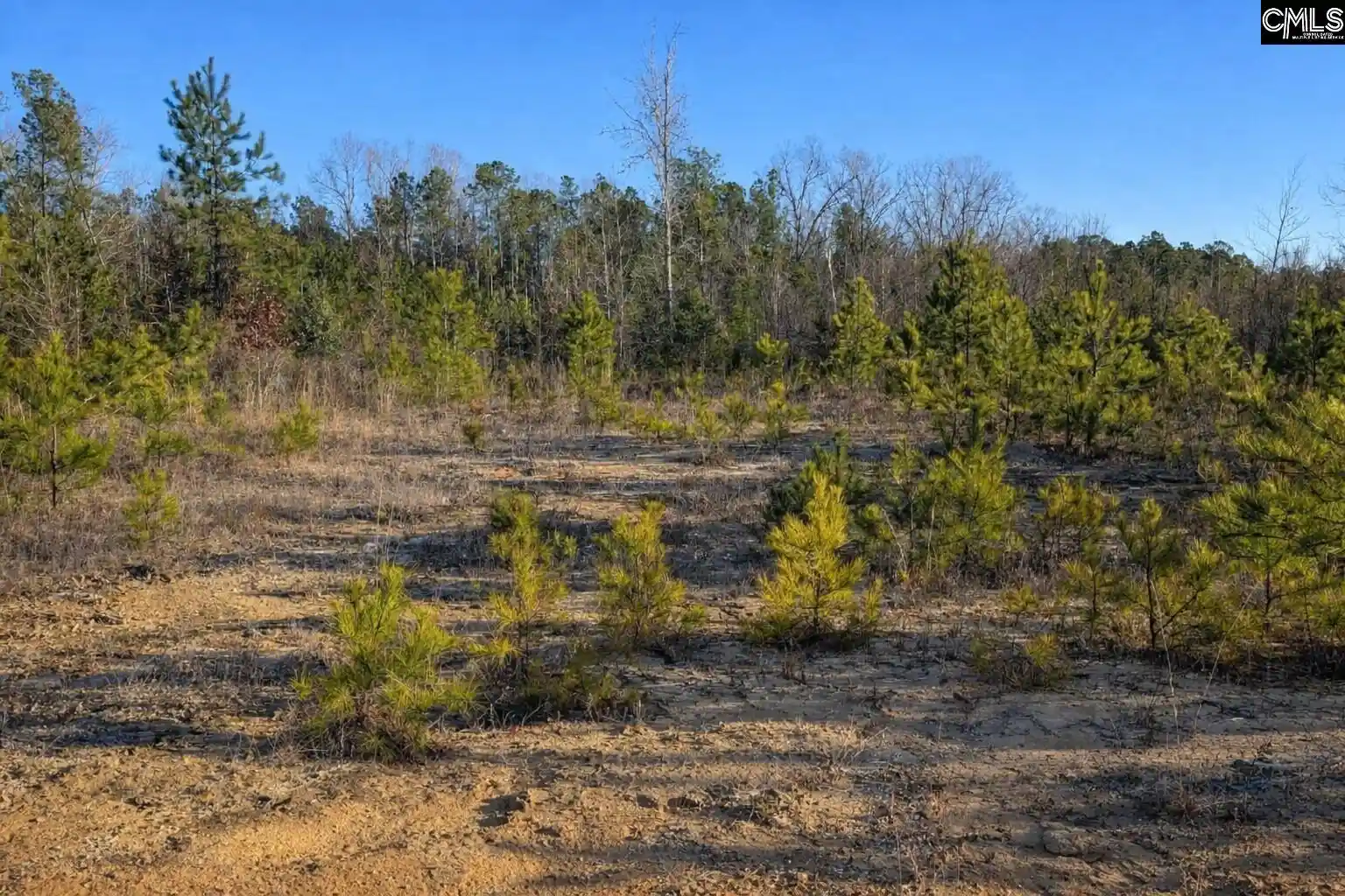 3rd image of 7884 Winnsboro, Columbia, SC 29203 | MLS# 639122