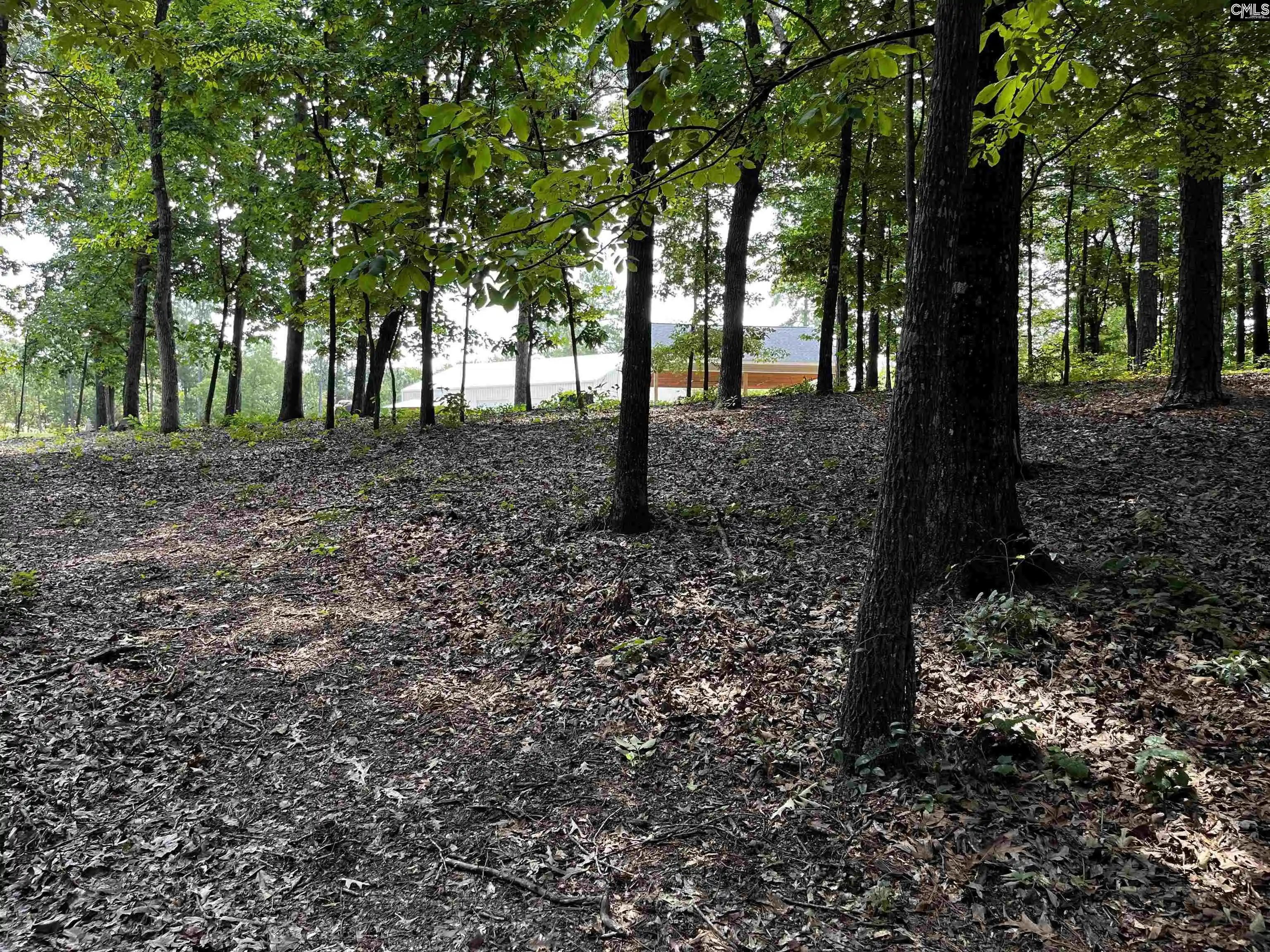 3rd image of 1448 Hwy Church, Elgin, SC 29045 | MLS# 639133