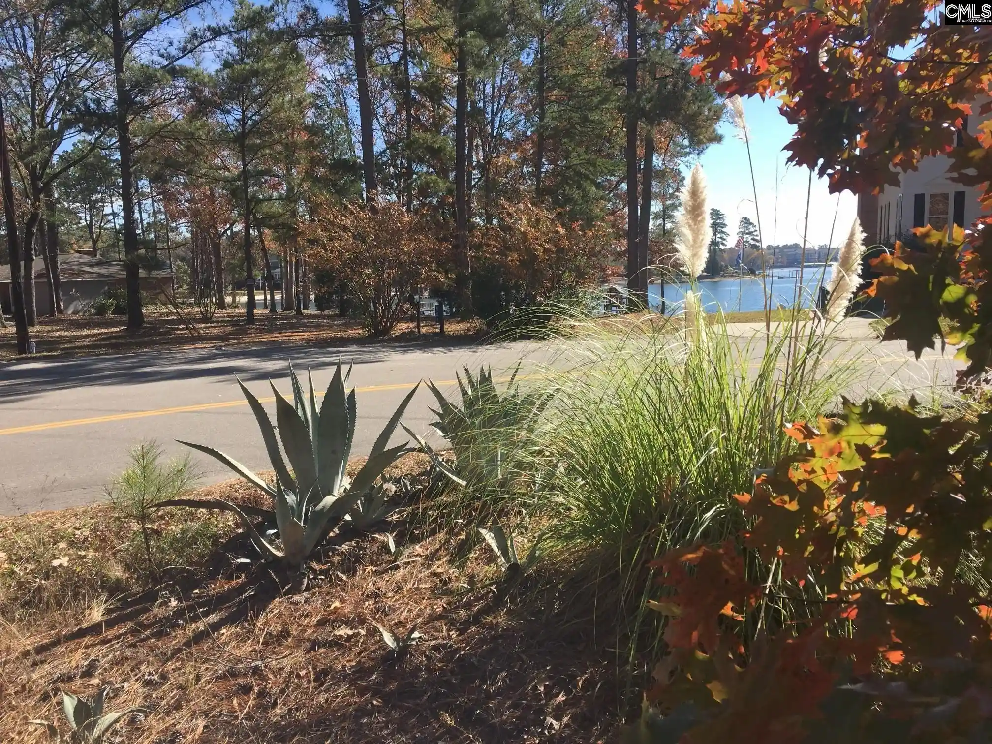 Photo 4 of Land for sale at 514 Shadowood, Irmo, SC 29063 | MLS# 639226 | Listing updated on 2026-07-23