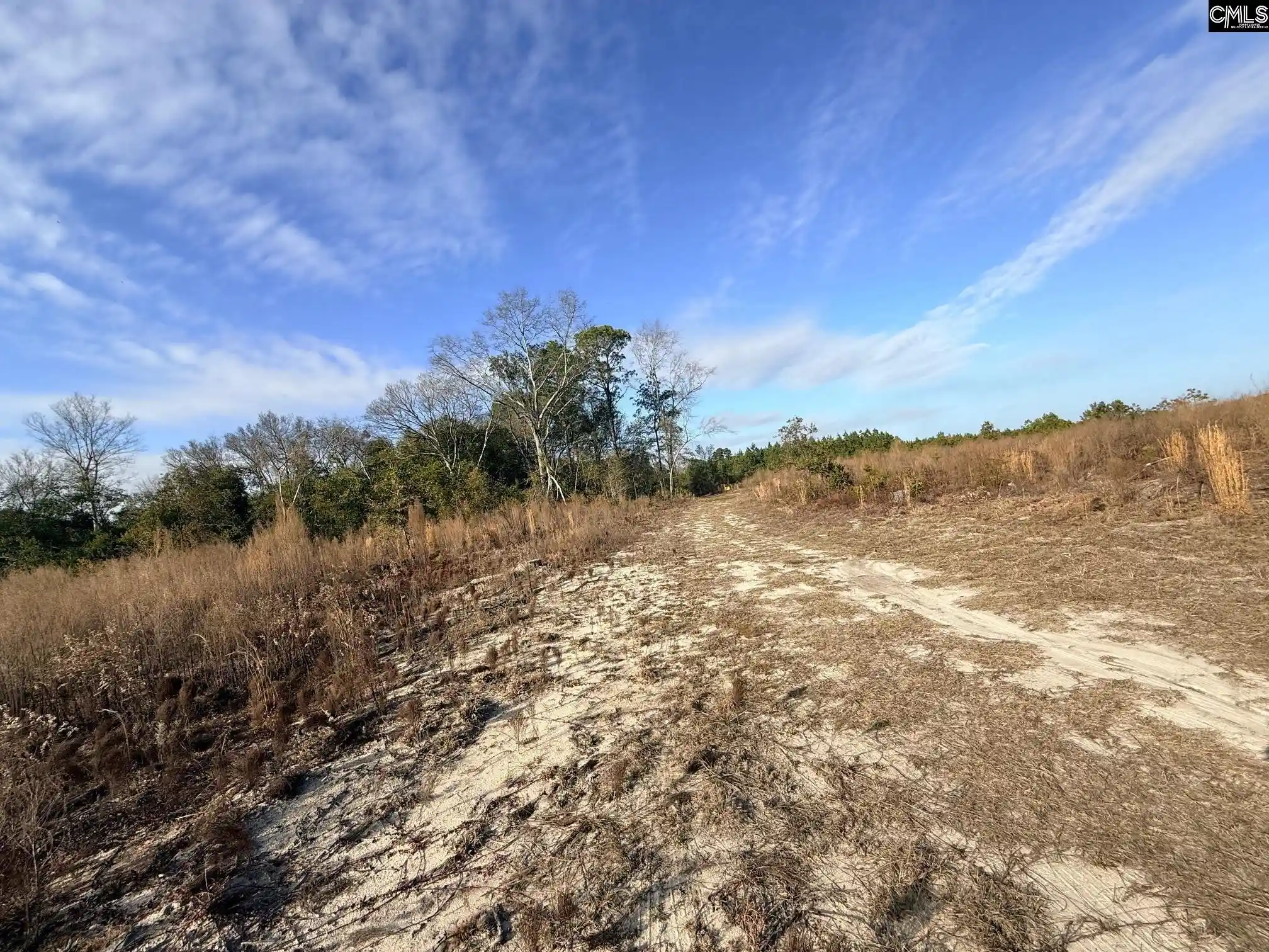 2nd image of 0 Festival Trail, Salley, SC 29137 | MLS# 639260