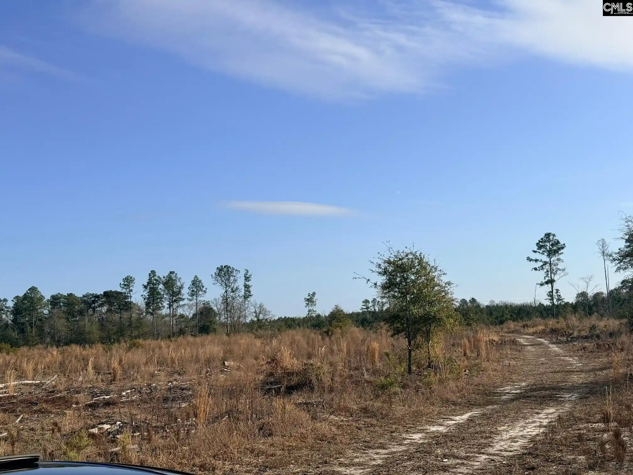 3rd image of 0 Festival Trail, Salley, SC 29137 | MLS# 639260