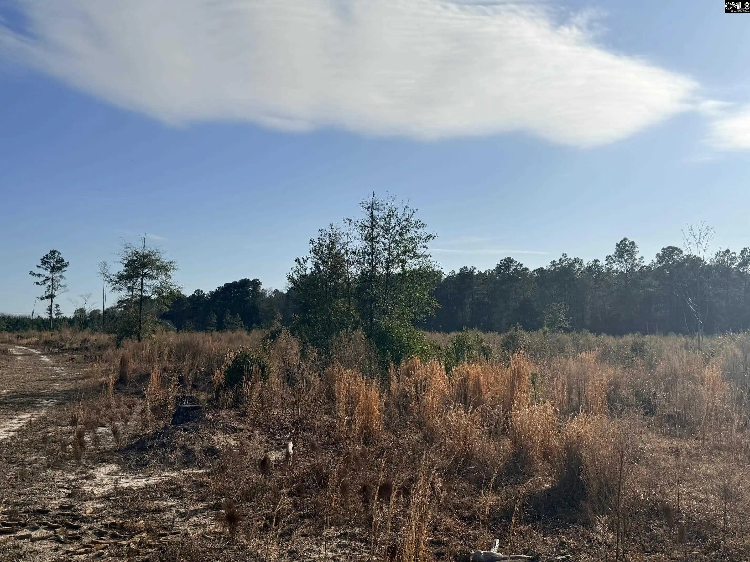 4th image of 0 Festival Trail, Salley, SC 29137 | MLS# 639260