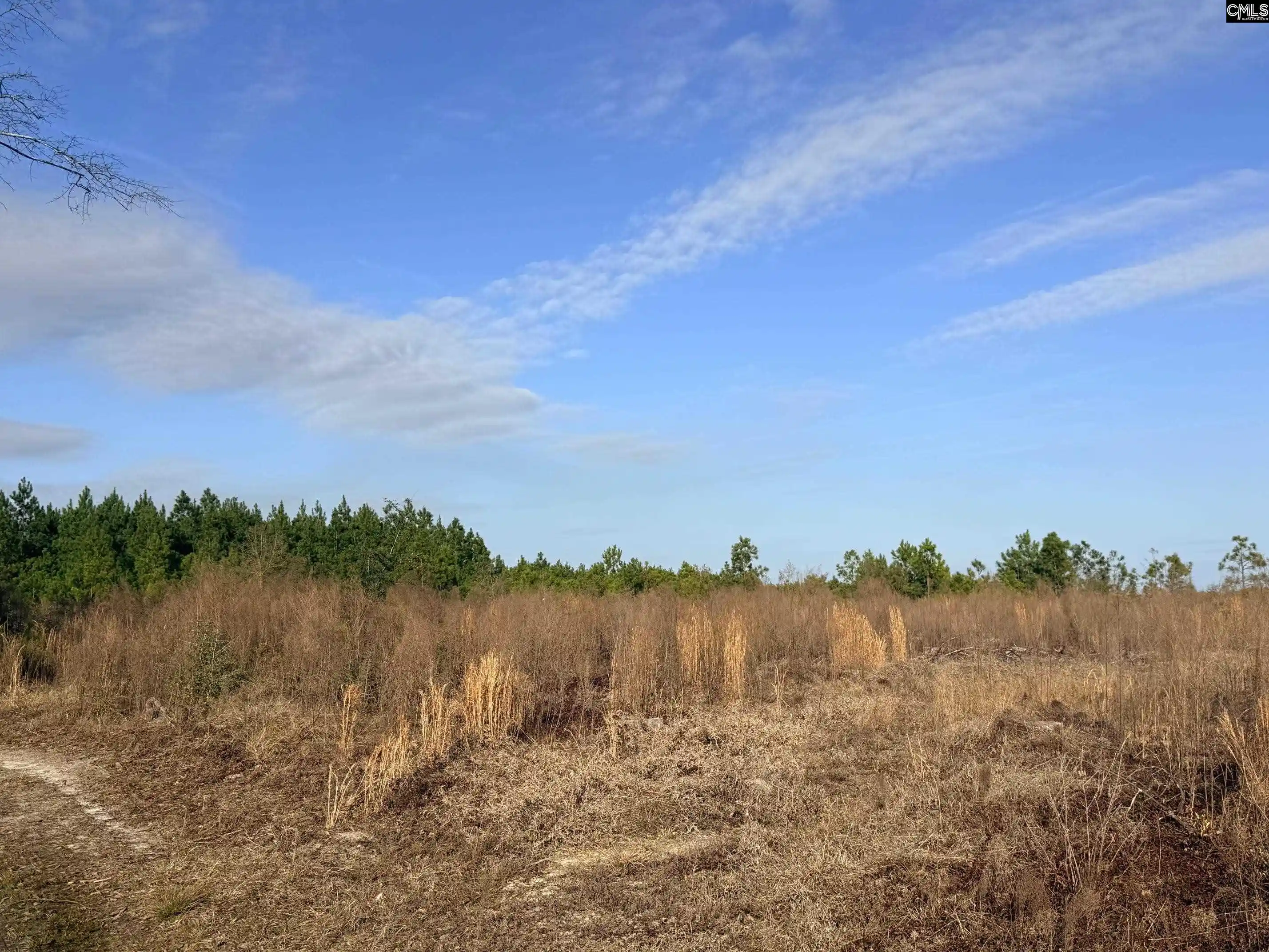 5th image of 0 Festival Trail, Salley, SC 29137 | MLS# 639260