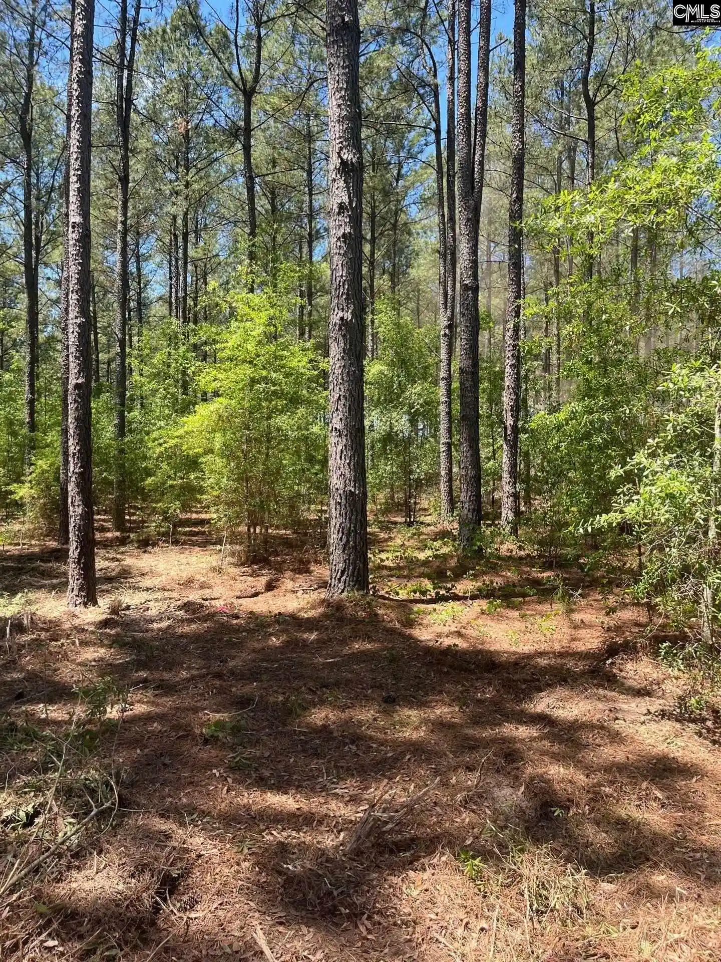 2nd image of Sda 1 Salley, Salley, SC 29137 | MLS# 639274
