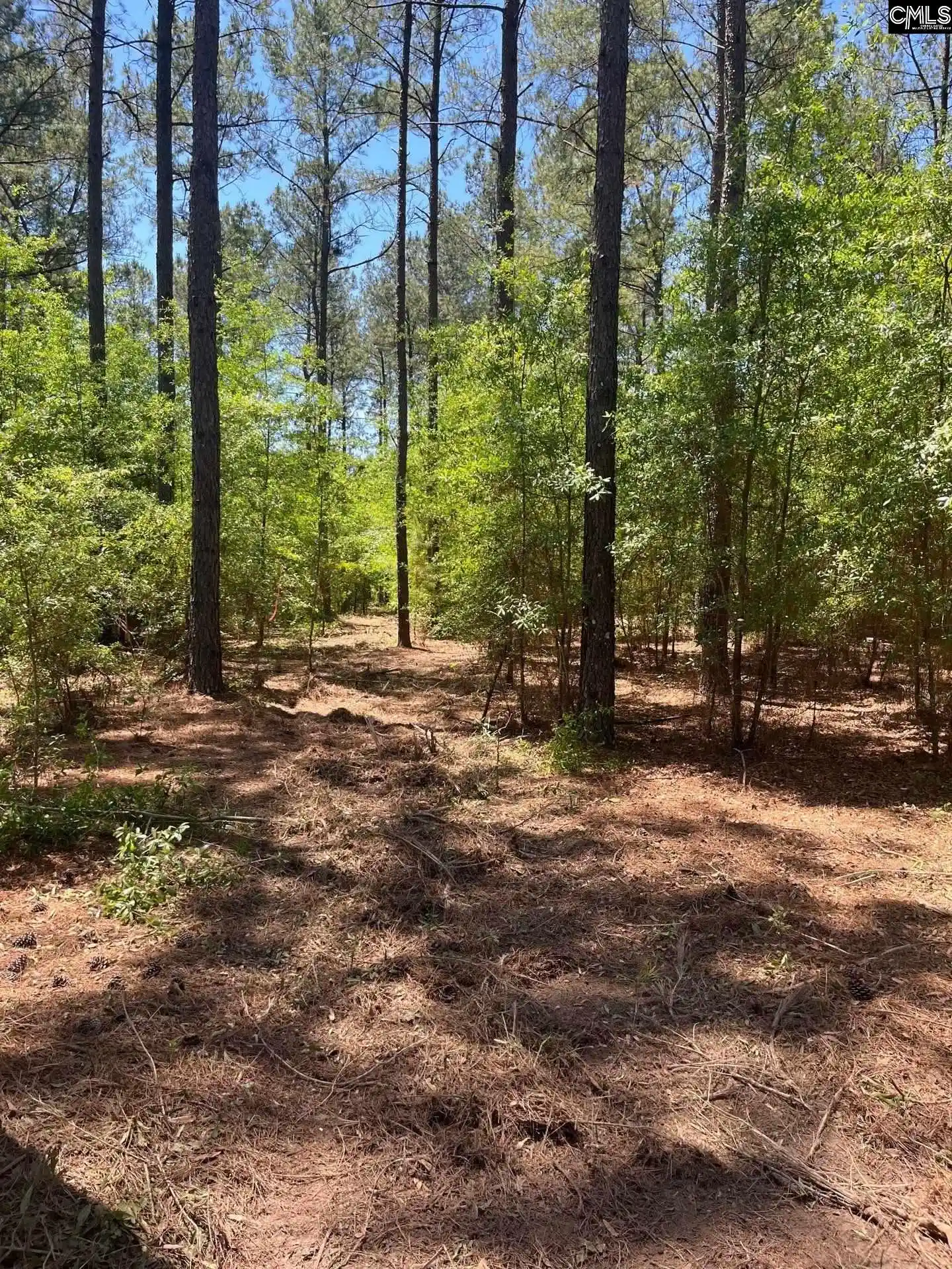 3rd image of Sda 1 Salley, Salley, SC 29137 | MLS# 639274