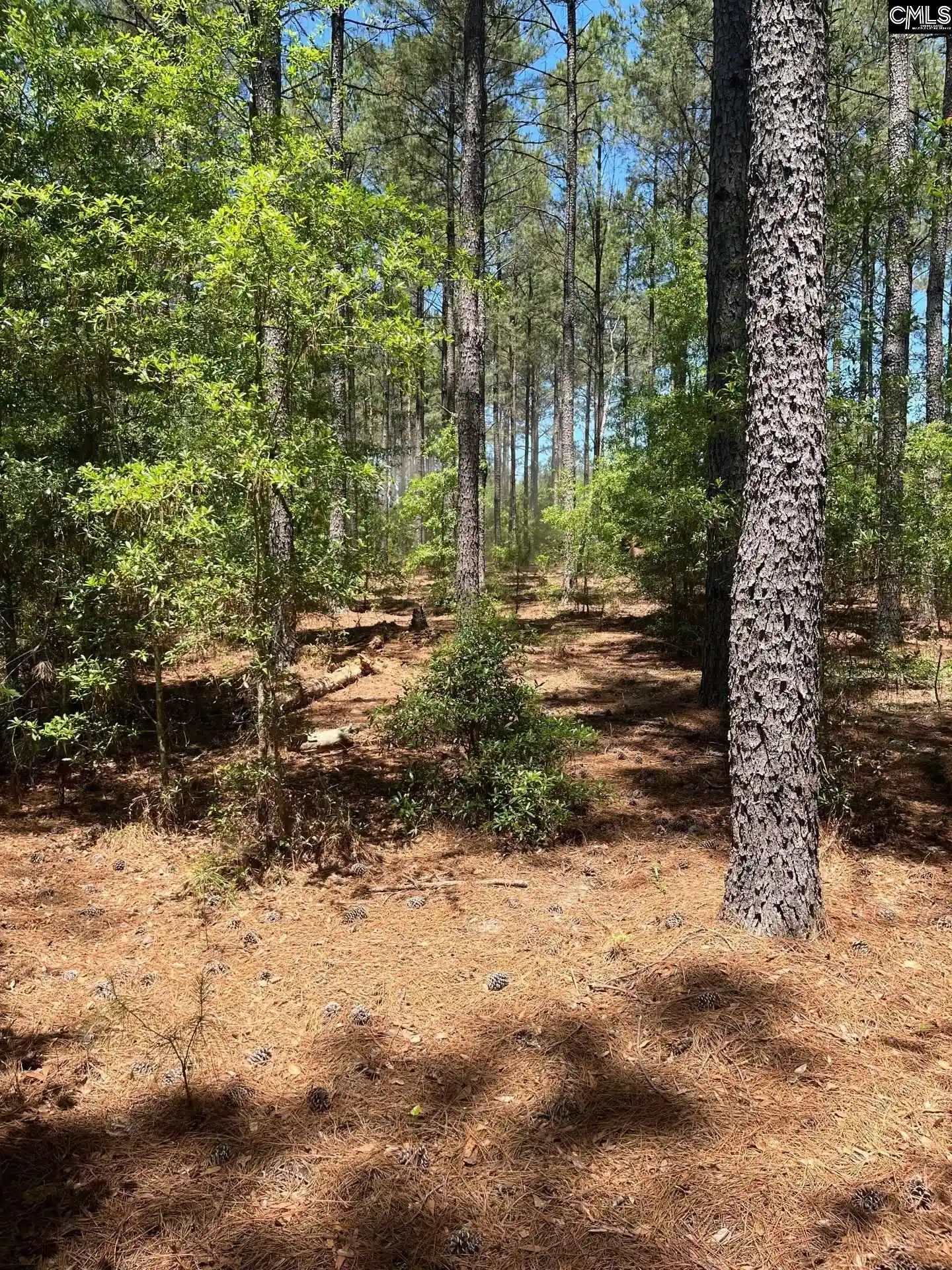4th image of Sda 1 Salley, Salley, SC 29137 | MLS# 639274