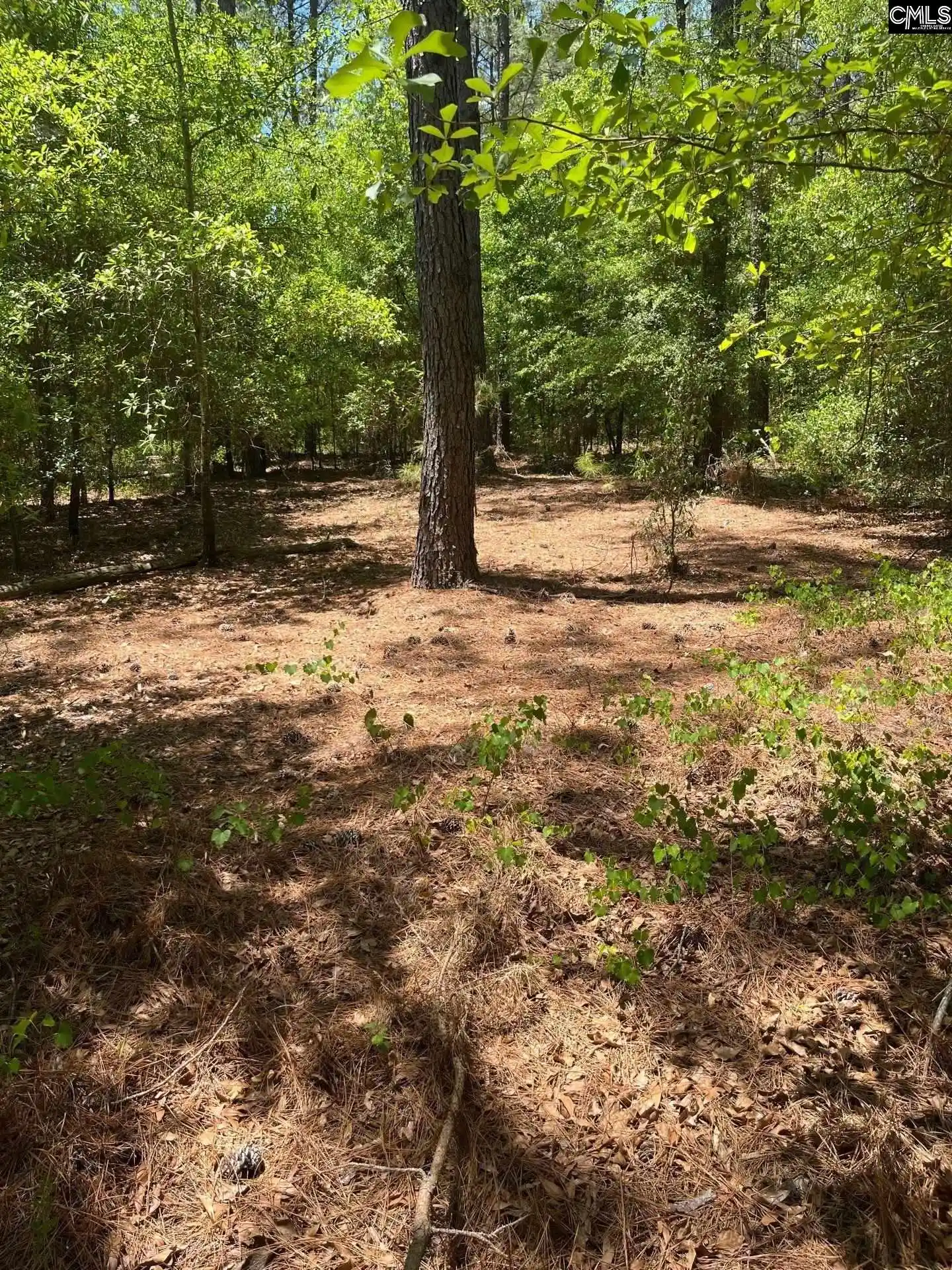 5th image of Sda 1 Salley, Salley, SC 29137 | MLS# 639274