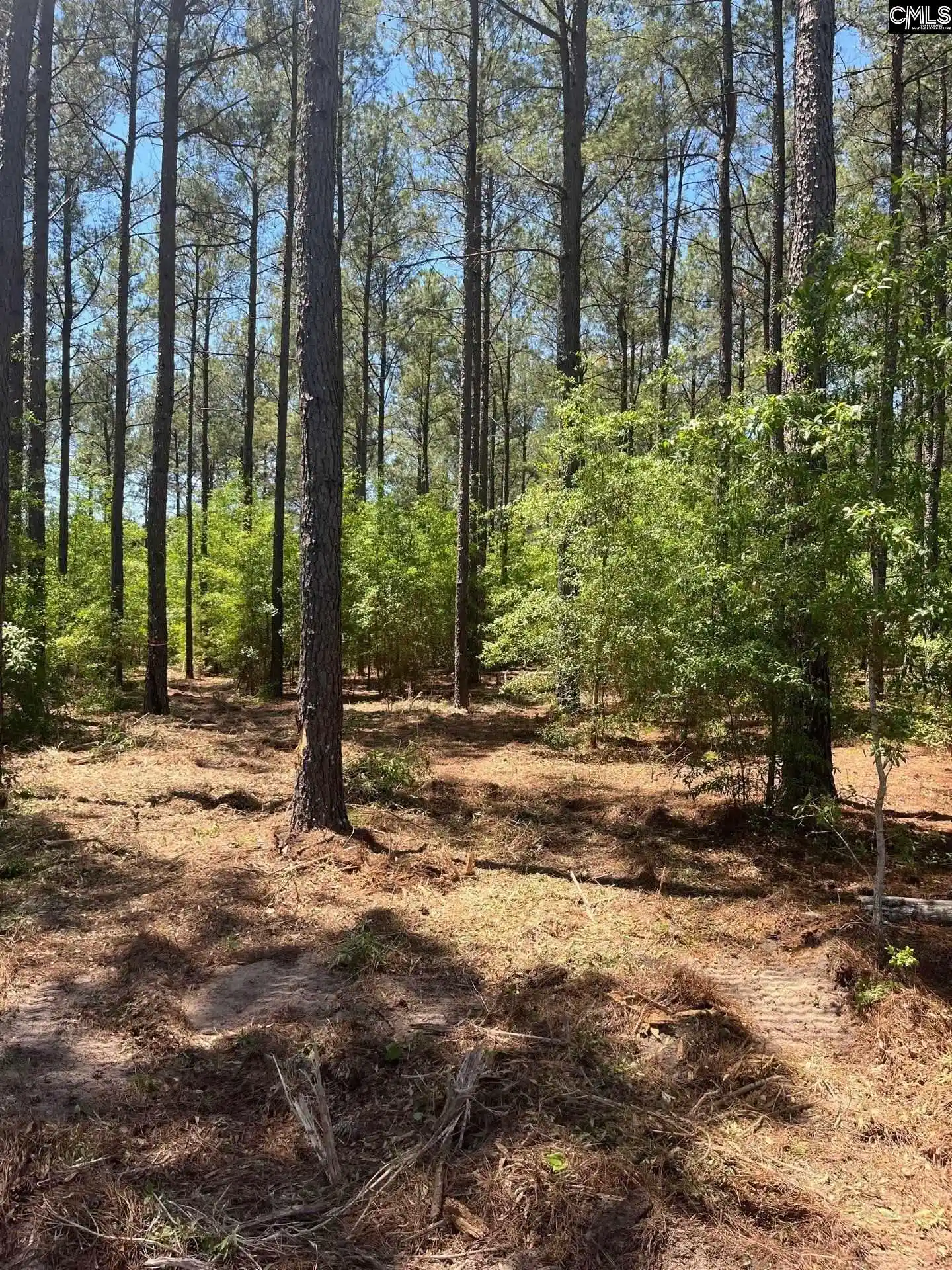 15th image of Sda 1 Salley, Salley, SC 29137 | MLS# 639274