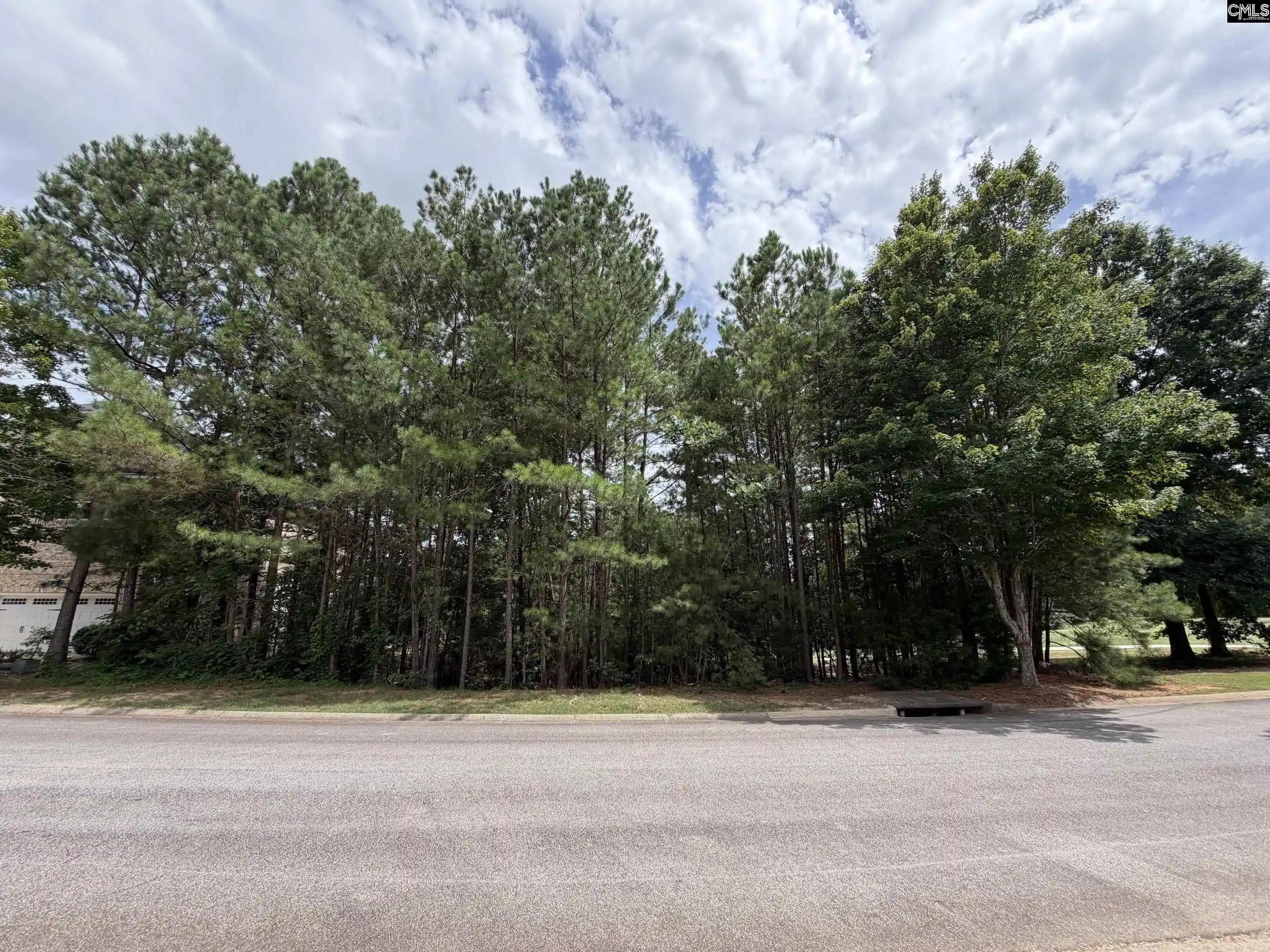 Photo 1 of Land for sale at 122 Peppermint, Blythewood, SC 29016 | MLS# 639277 | Listing updated on 2026-07-23