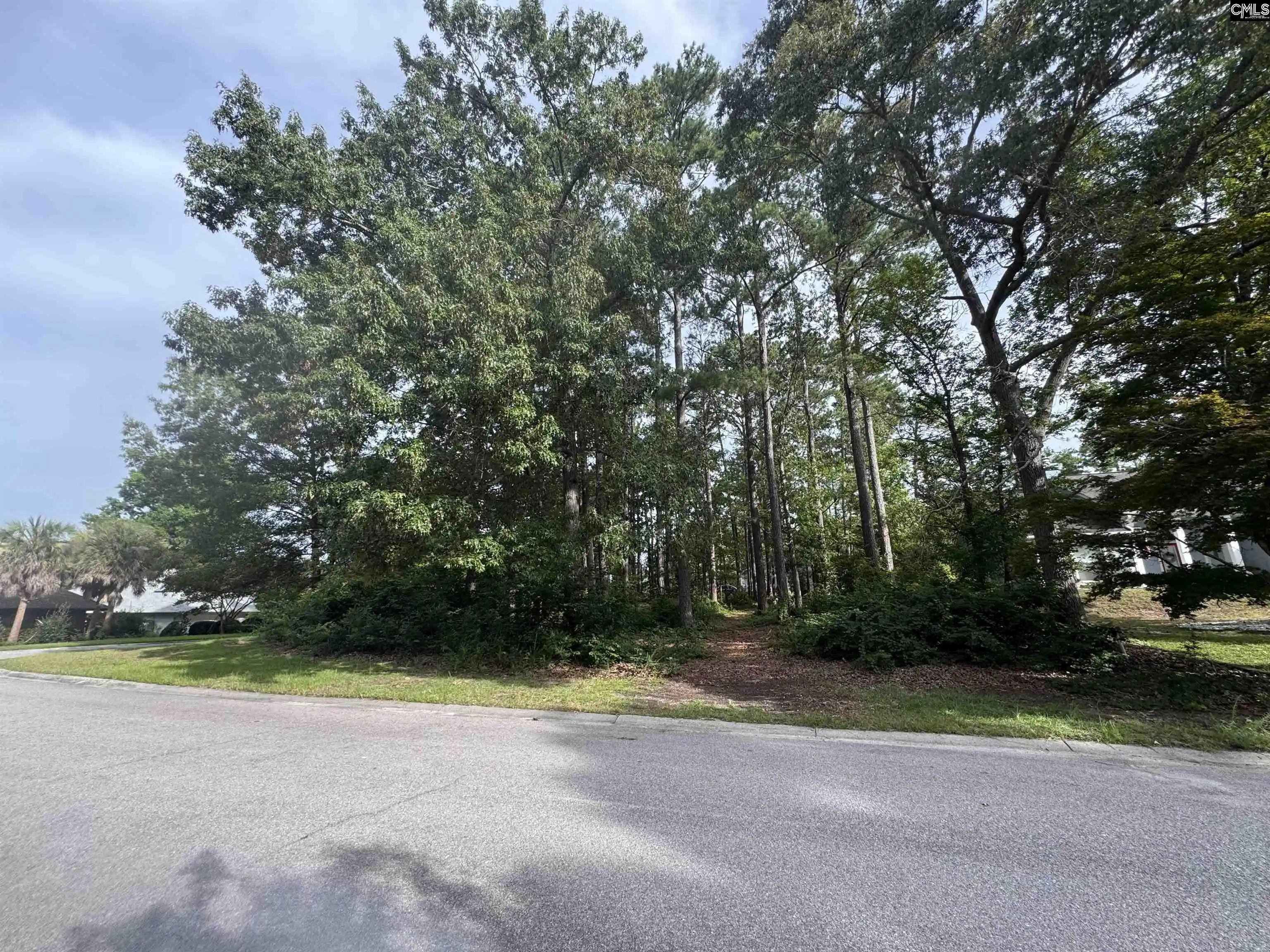 Photo 1 of Sale Pending at 164 Emerald Lake, Columbia, SC 29209 | MLS# 639298 | Listing updated on 2026-09-11