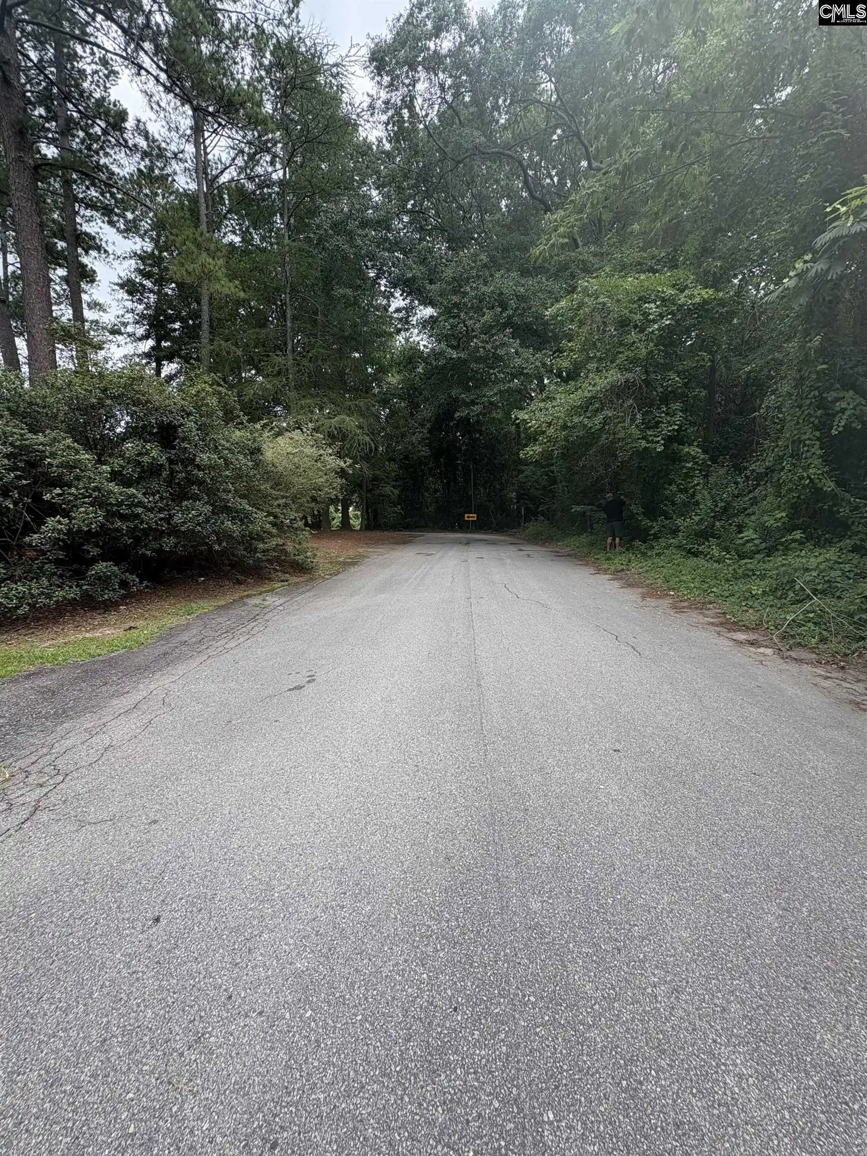 Photo 3 of Sale Pending at 4805 Barber St #vacant lot, Columbia, SC 29203 | MLS# 639429 | Listing updated on 2026-09-06