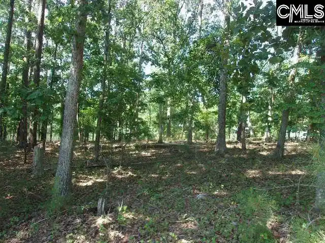 Photo 2 of Land for sale at 216 Rebecca, Leesville, SC 29070 | MLS# 639433 | Listing updated on 2026-07-27