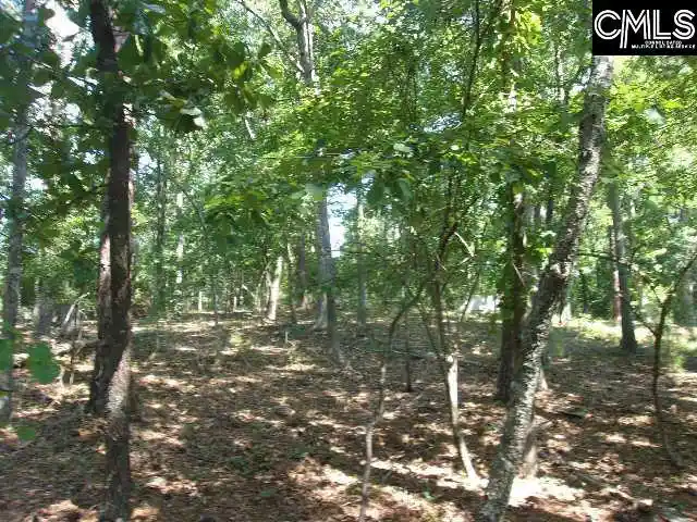 Photo 4 of Land for sale at 216 Rebecca, Leesville, SC 29070 | MLS# 639433 | Listing updated on 2026-07-27
