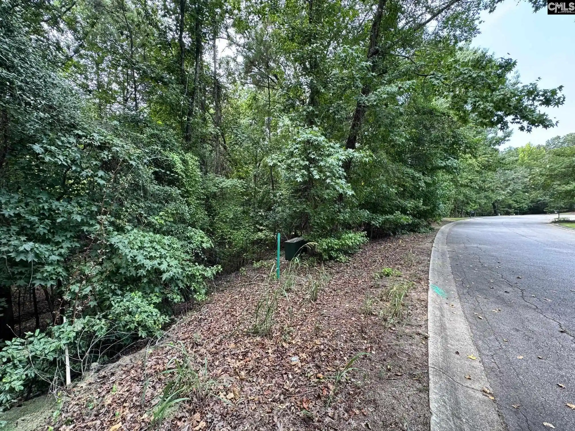 Photo 4 of Land for sale at 221 Leventis, Lexington, SC 29072 | MLS# 639441 | Listing updated on 2026-07-28