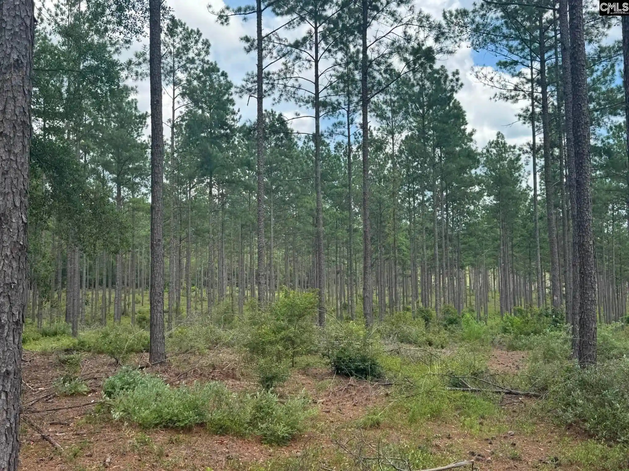 Photo 1 of Land for sale at Beaver Creek, Swansea, SC 29160 | MLS# 639488 | Listing updated on 2026-07-27